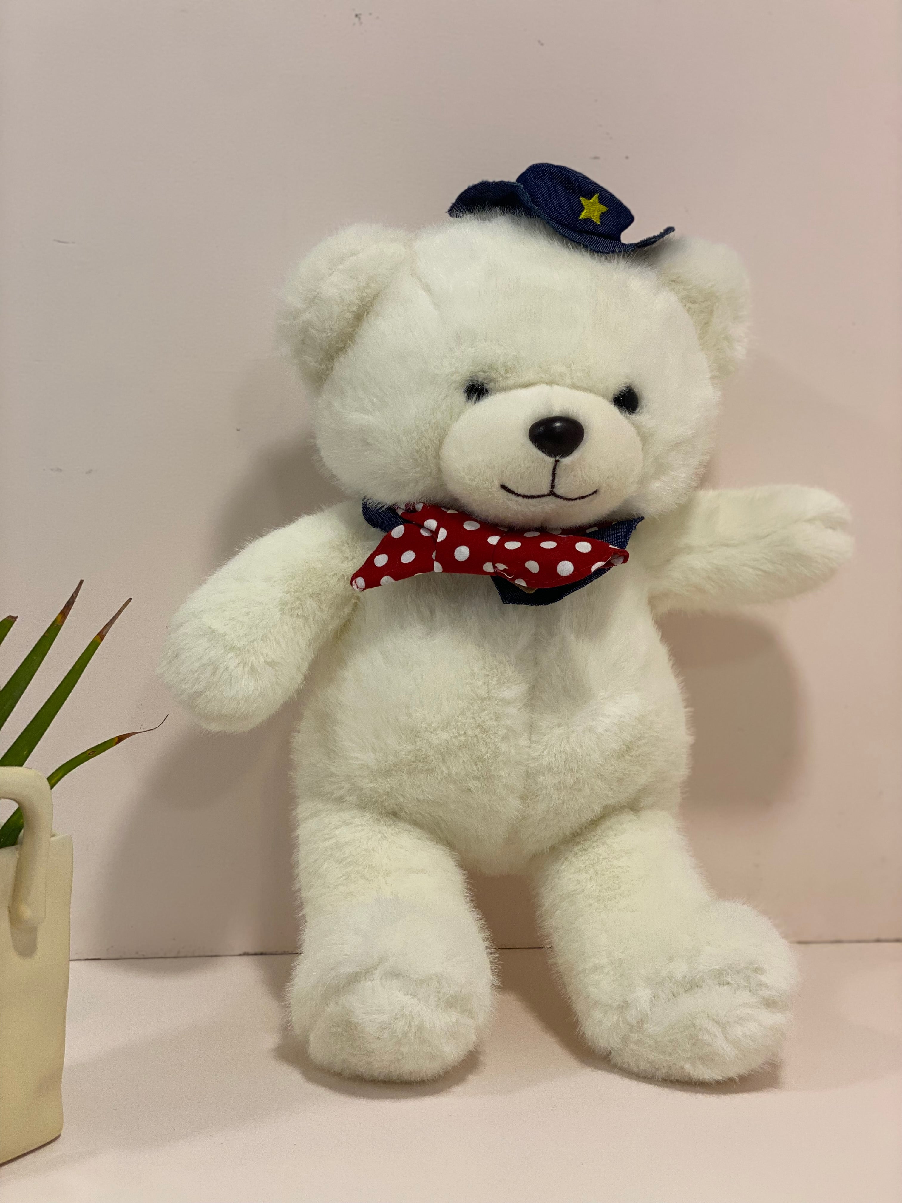 Cute Teddy Bear with Cap & Bow – Soft Plush Toy for Kids & Gifting