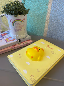 Duck Squishy Diary