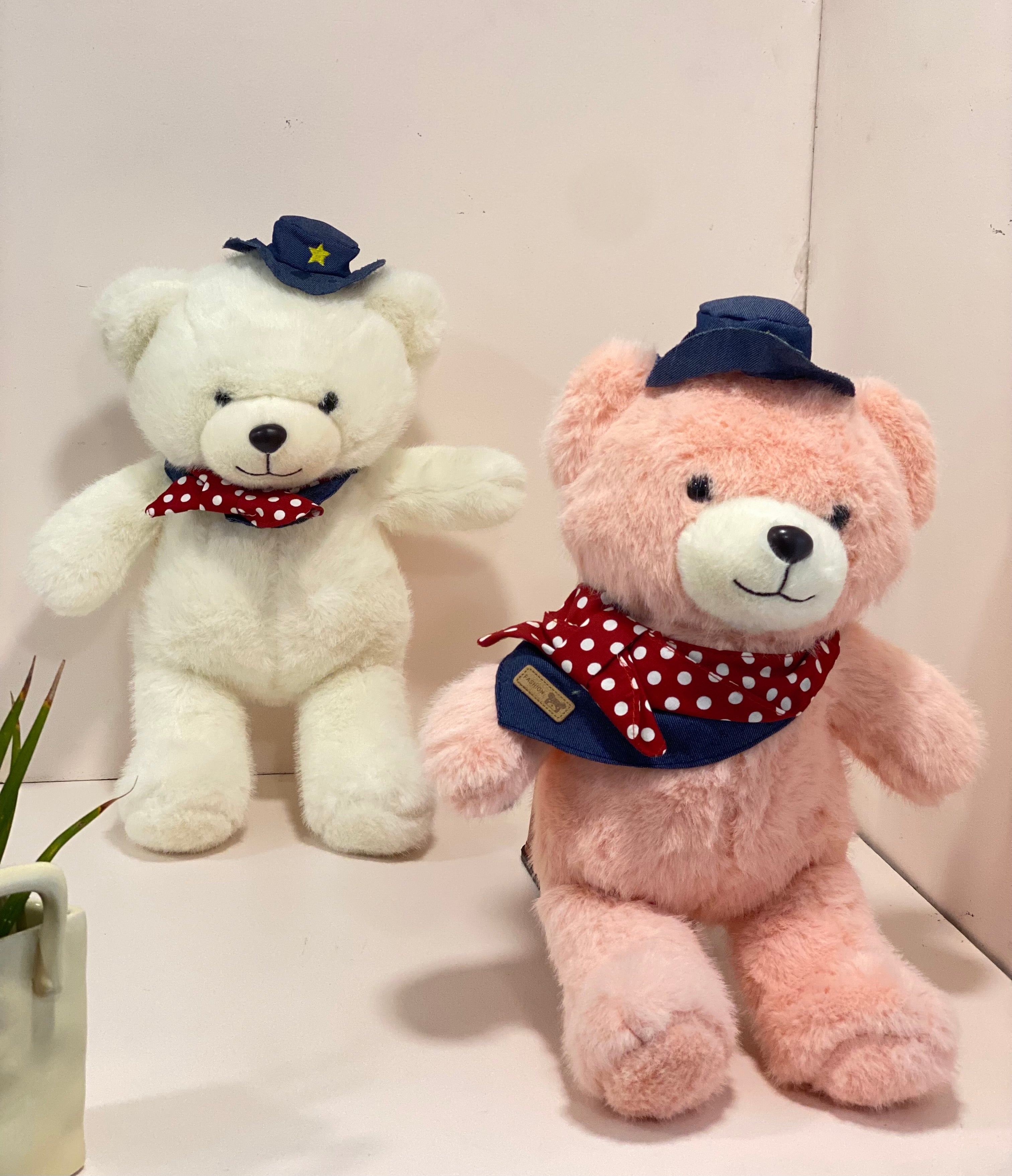 Cute Teddy Bear with Cap & Bow – Soft Plush Toy for Kids & Gifting