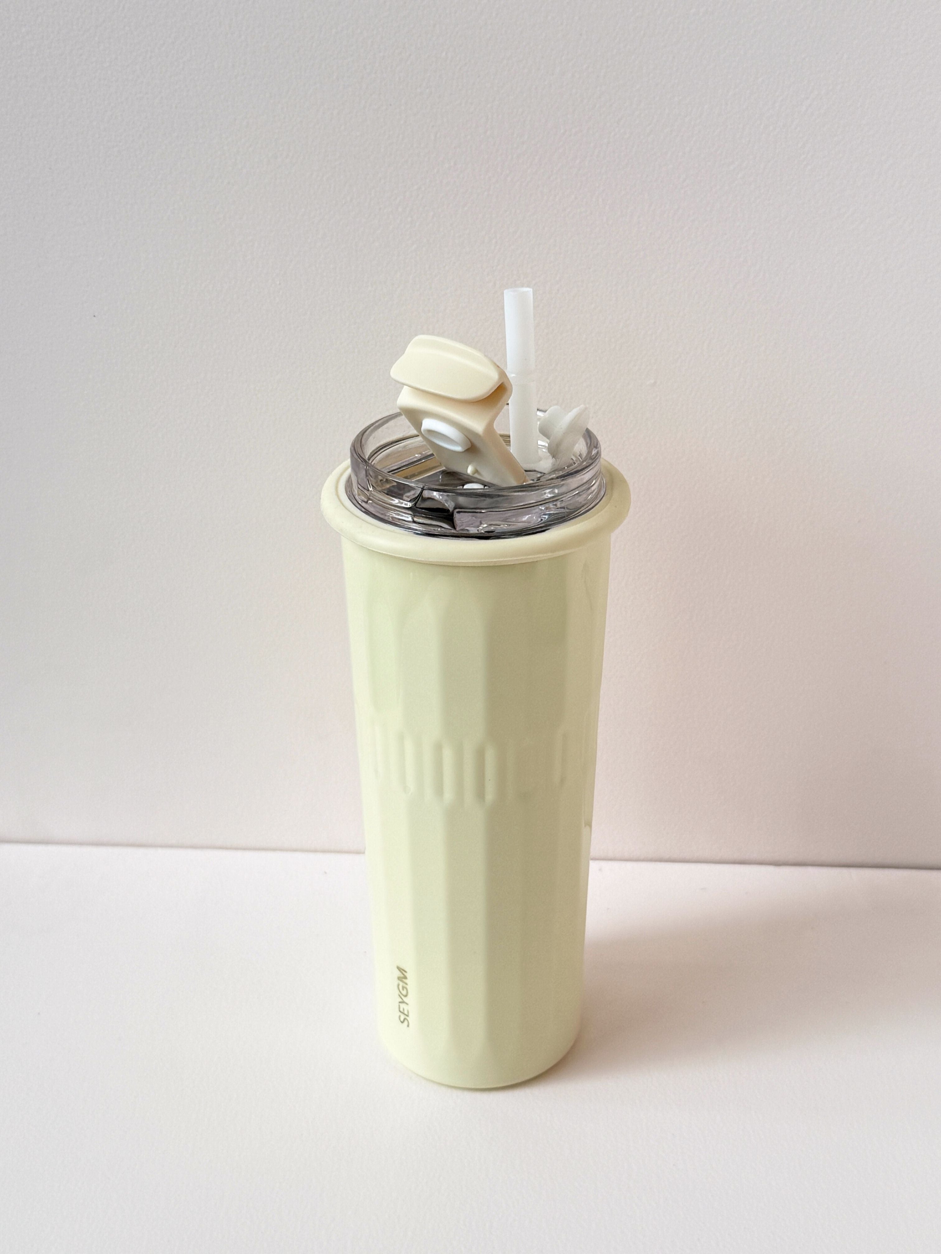 Pastel Tall Reusable Tumbler with Straw – 500ml Travel Cup (4 Color Options)