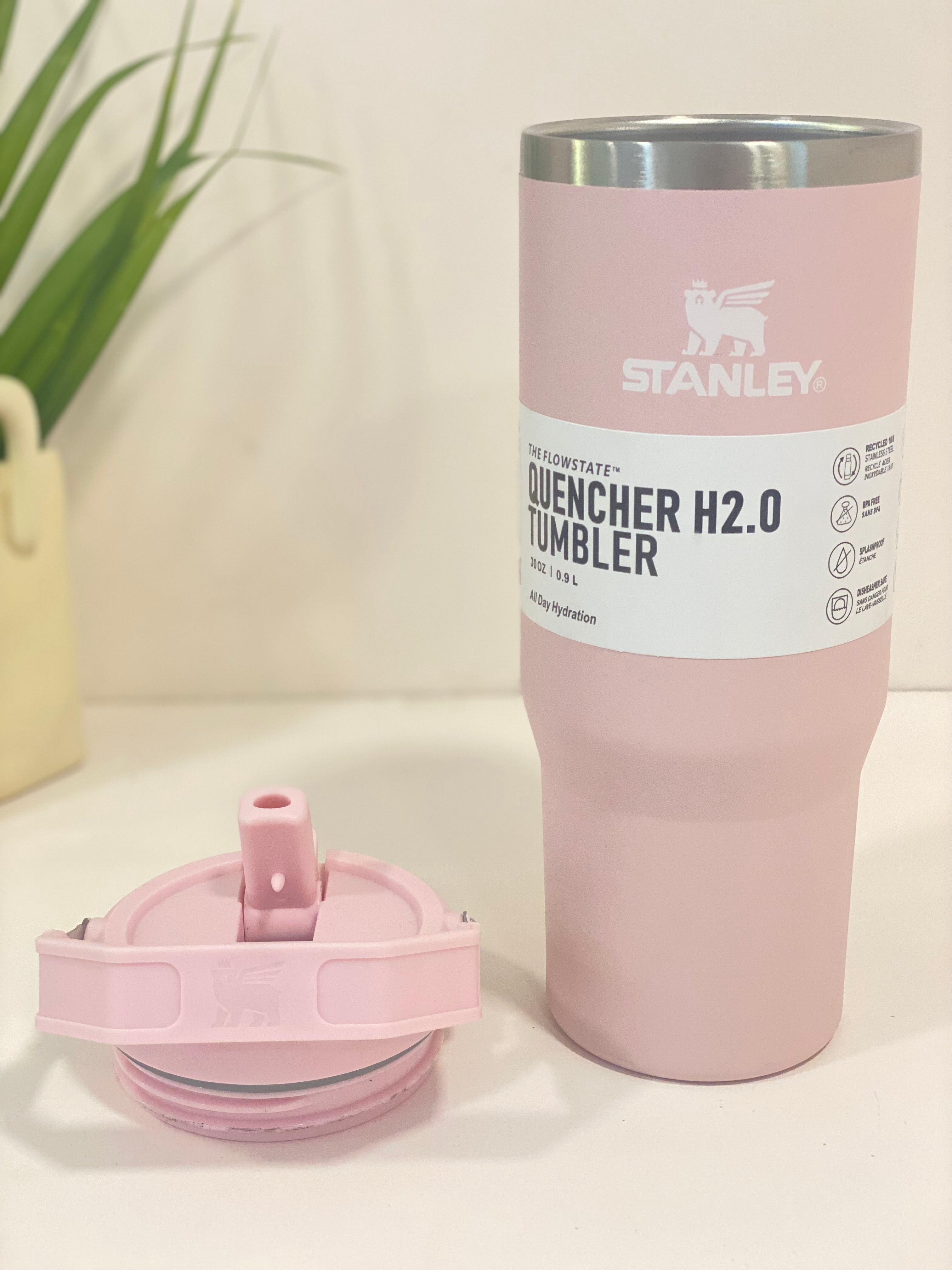 Stanley Quencher H2.0 FlowState Tumbler – 30 oz Insulated Hydration Sipper with Handle & Straw