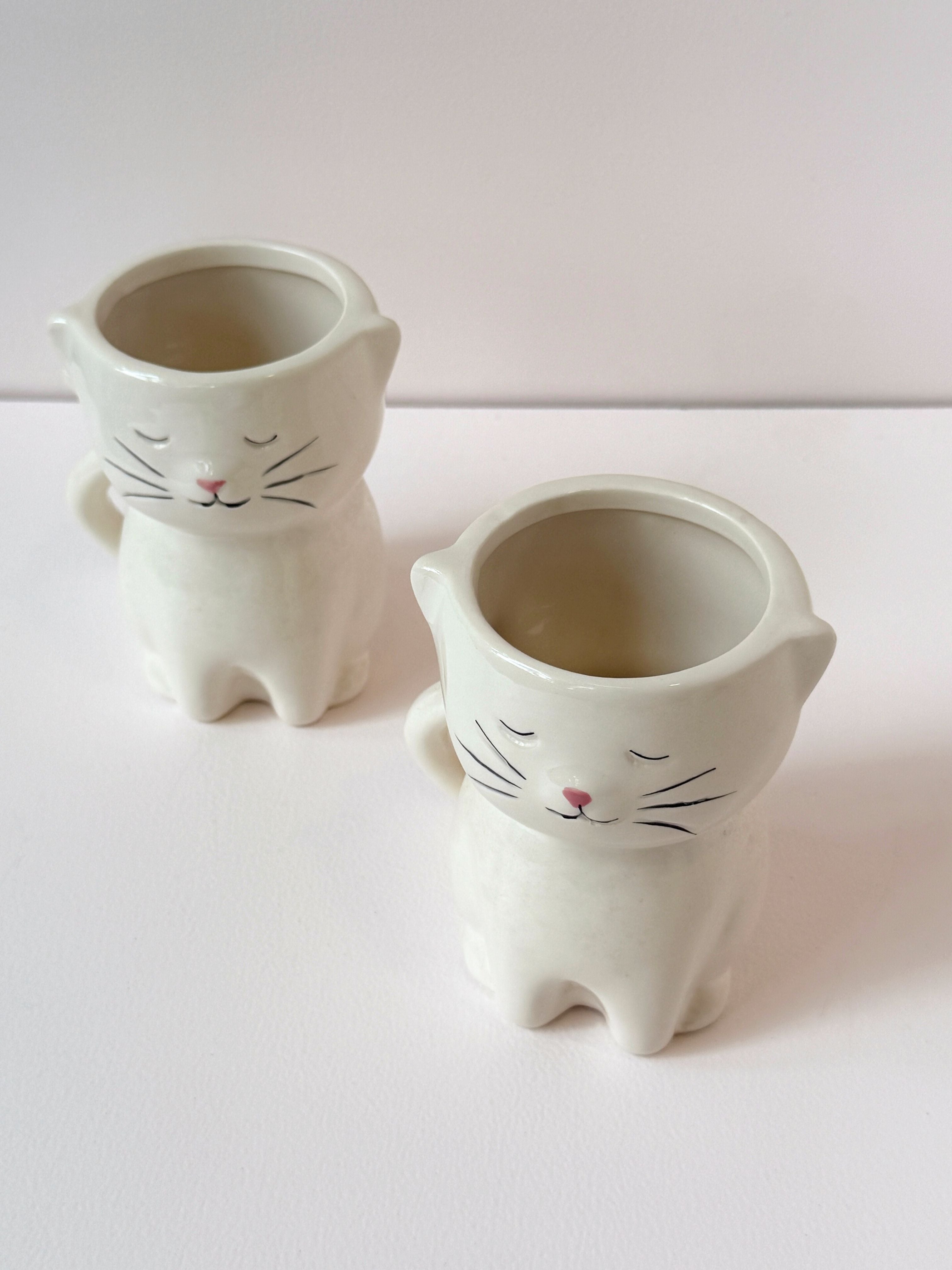 Whiskered Charm Ceramic Cat Mug/Planter