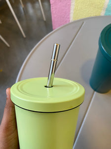 Hot & Cold Sipper With Steel Straw