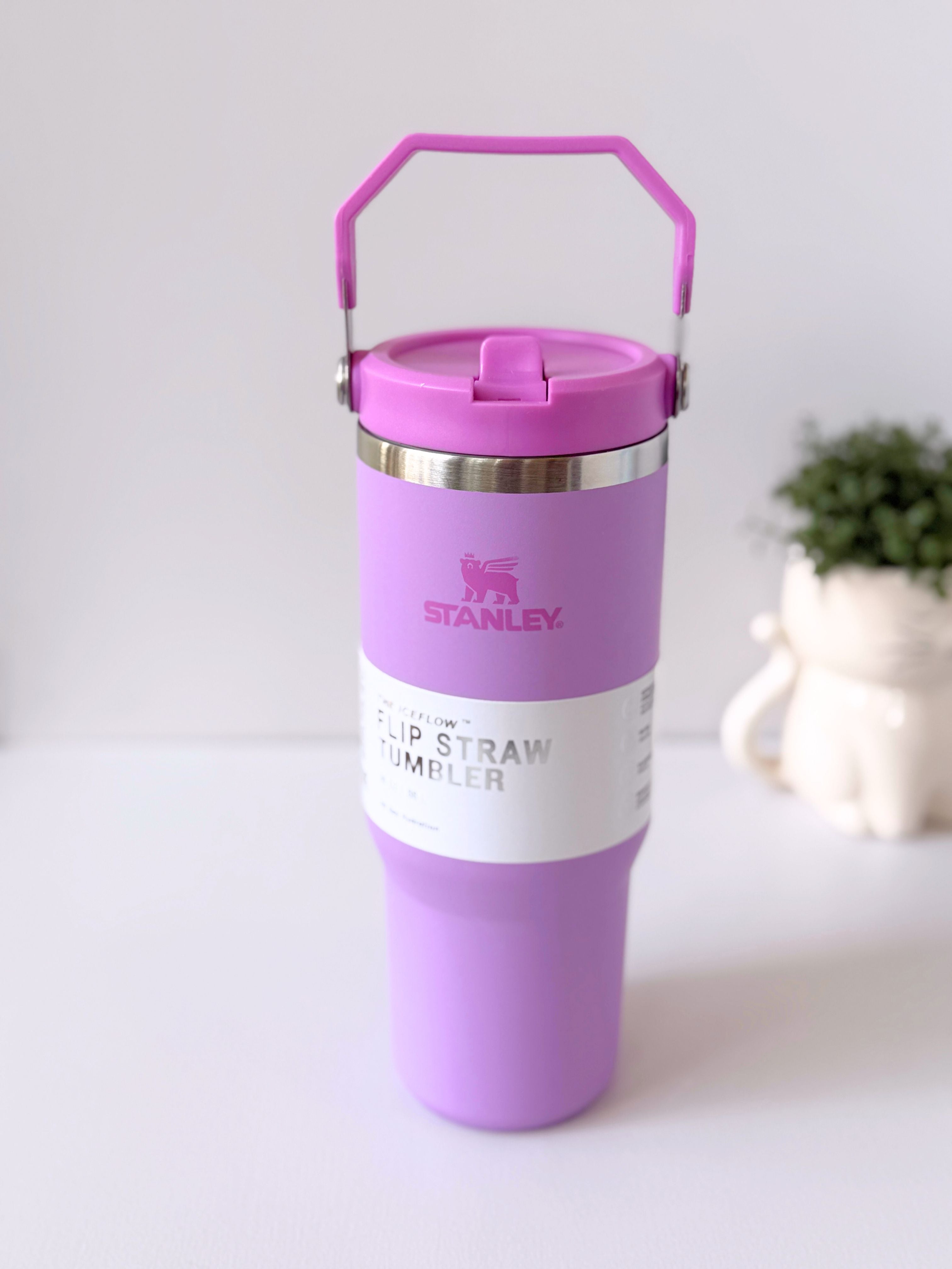Stanley IceFlow™ Flip Straw Tumbler 30 oz | Leakproof, Portable & BPA-Free