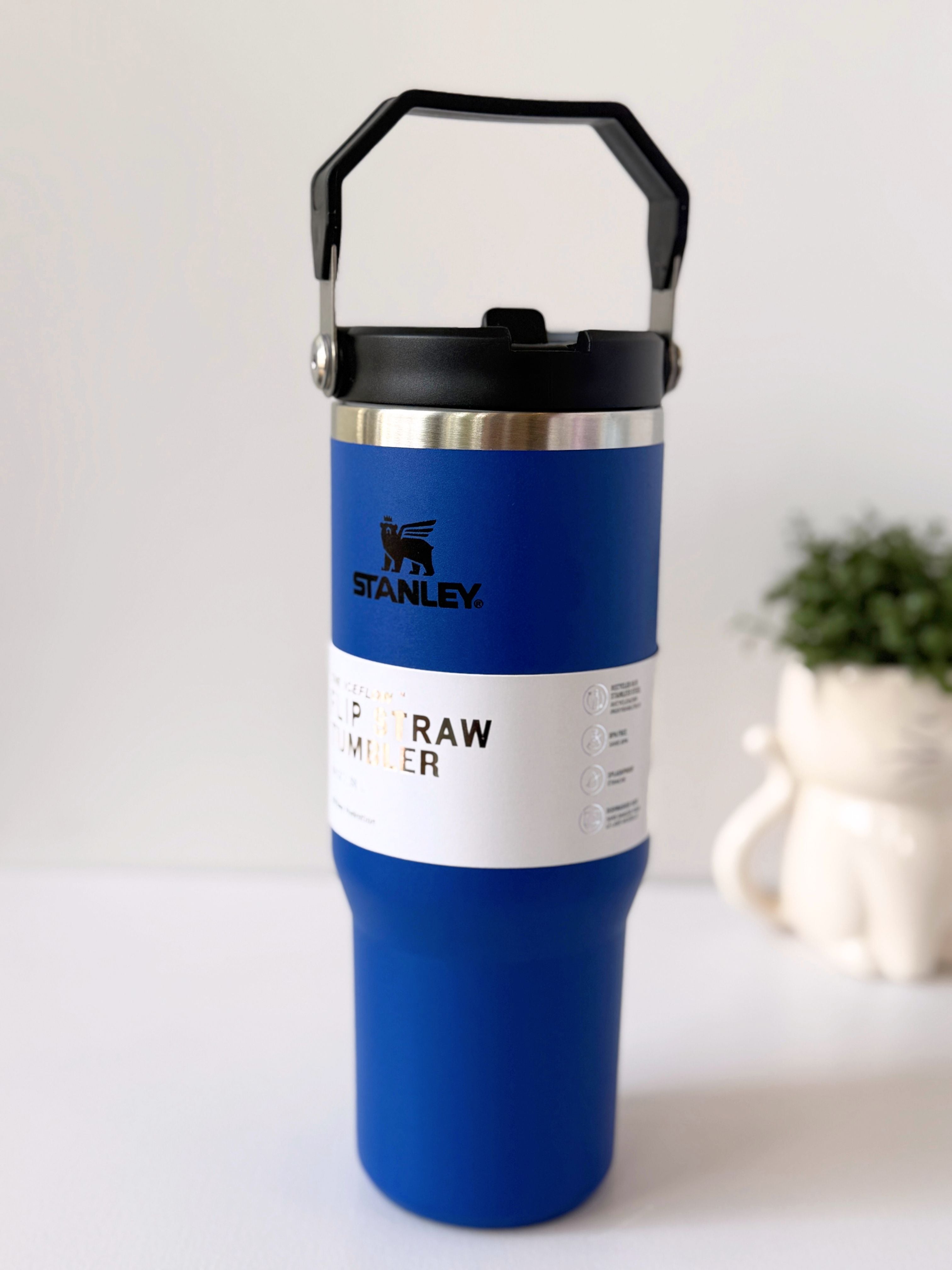 Stanley IceFlow™ Flip Straw Tumbler 30 oz | Leakproof, Portable & BPA-Free