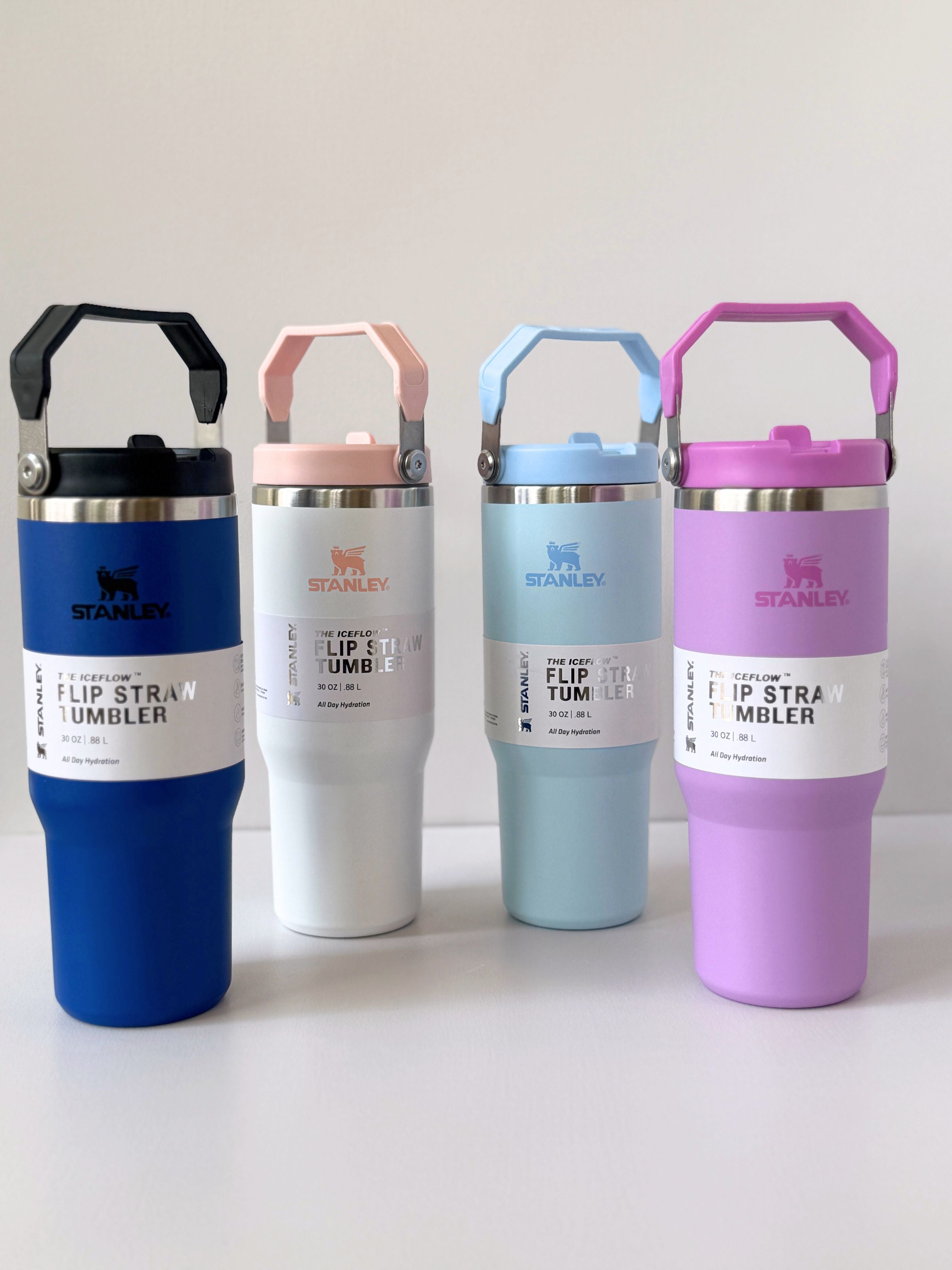 Stanley IceFlow™ Flip Straw Tumbler 30 oz | Leakproof, Portable & BPA-Free