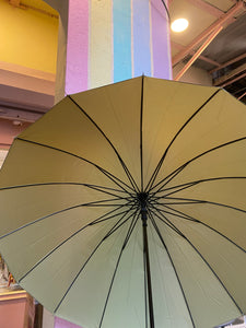 Pastel Colours Umbrella-Big Size