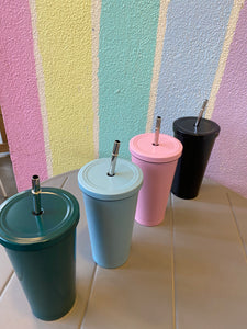 Hot & Cold Sipper With Steel Straw