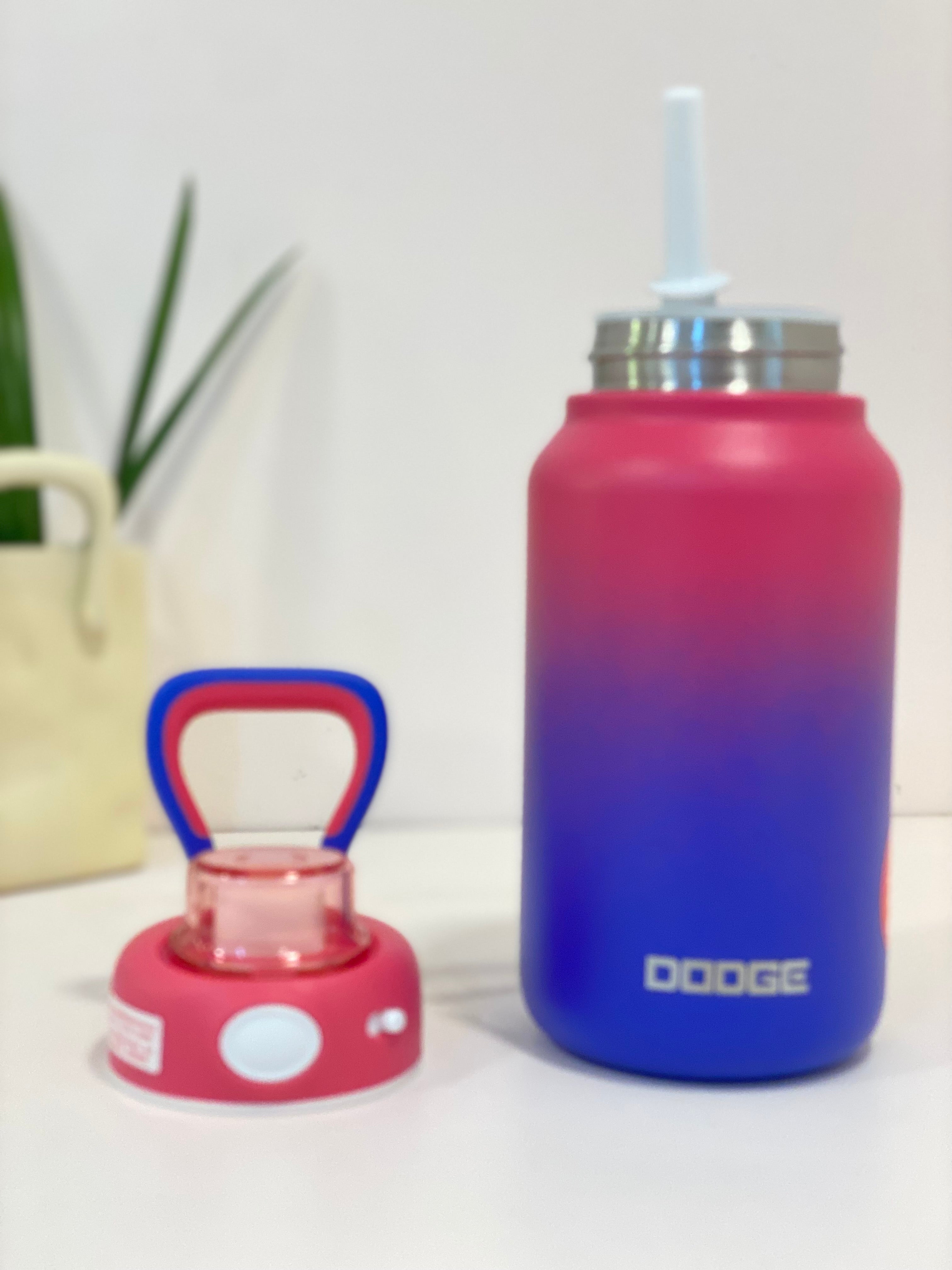 Dodge Hydration Bottle – Bold, Fun & Functional