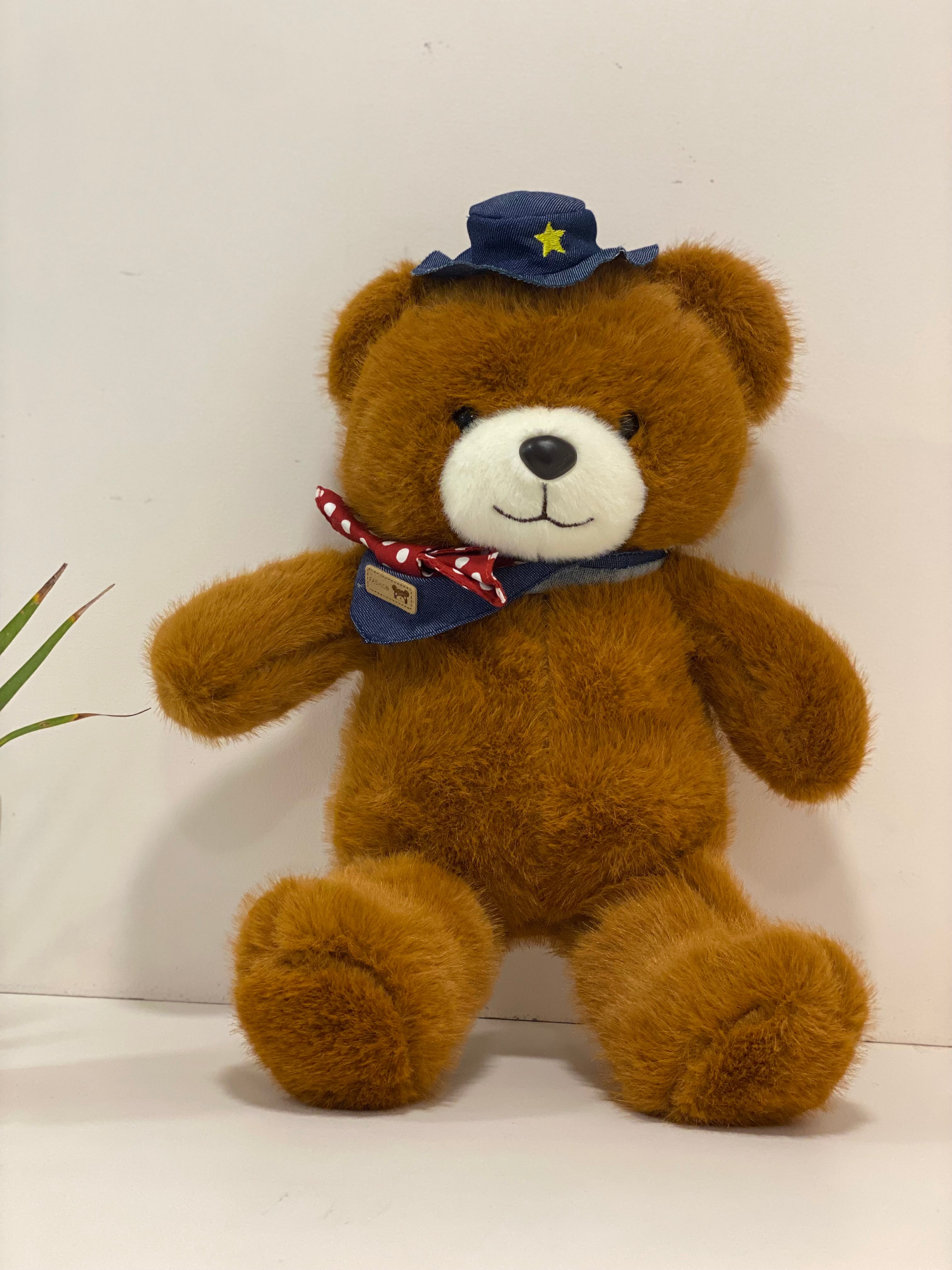 Cute Teddy Bear with Cap & Bow – Soft Plush Toy for Kids & Gifting
