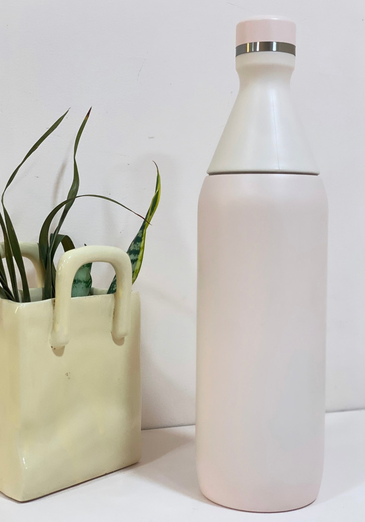Pastel Stainless Steel Insulated Water Bottle