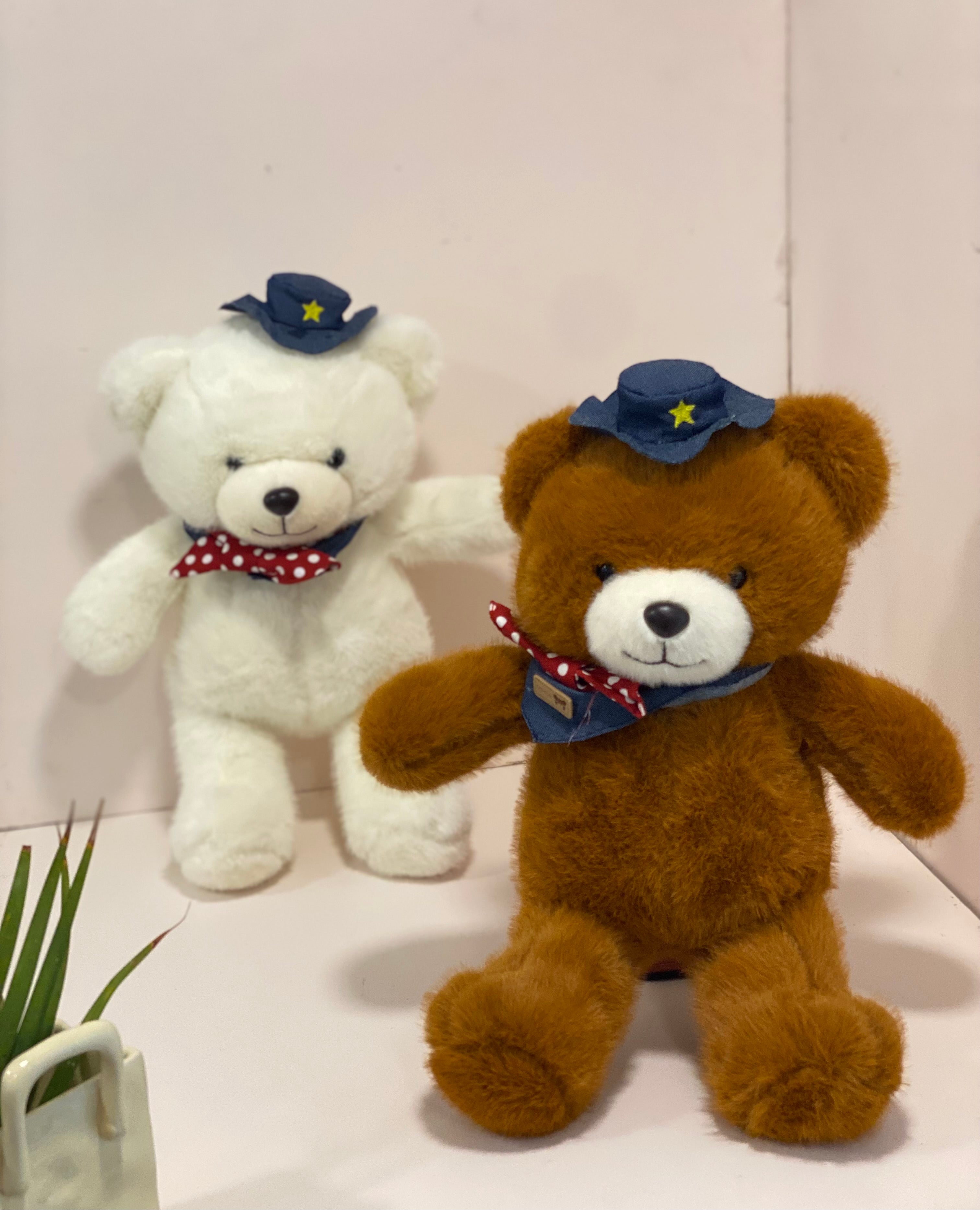 Cute Teddy Bear with Cap & Bow – Soft Plush Toy for Kids & Gifting