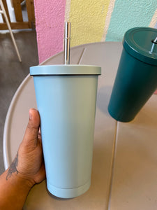 Hot & Cold Sipper With Steel Straw