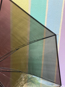 Transparent C Handle Umbrella