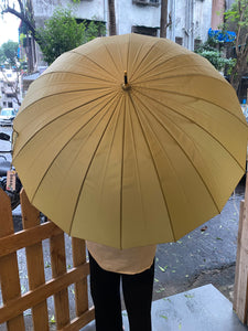 Pastel Colours Umbrella-Big Size