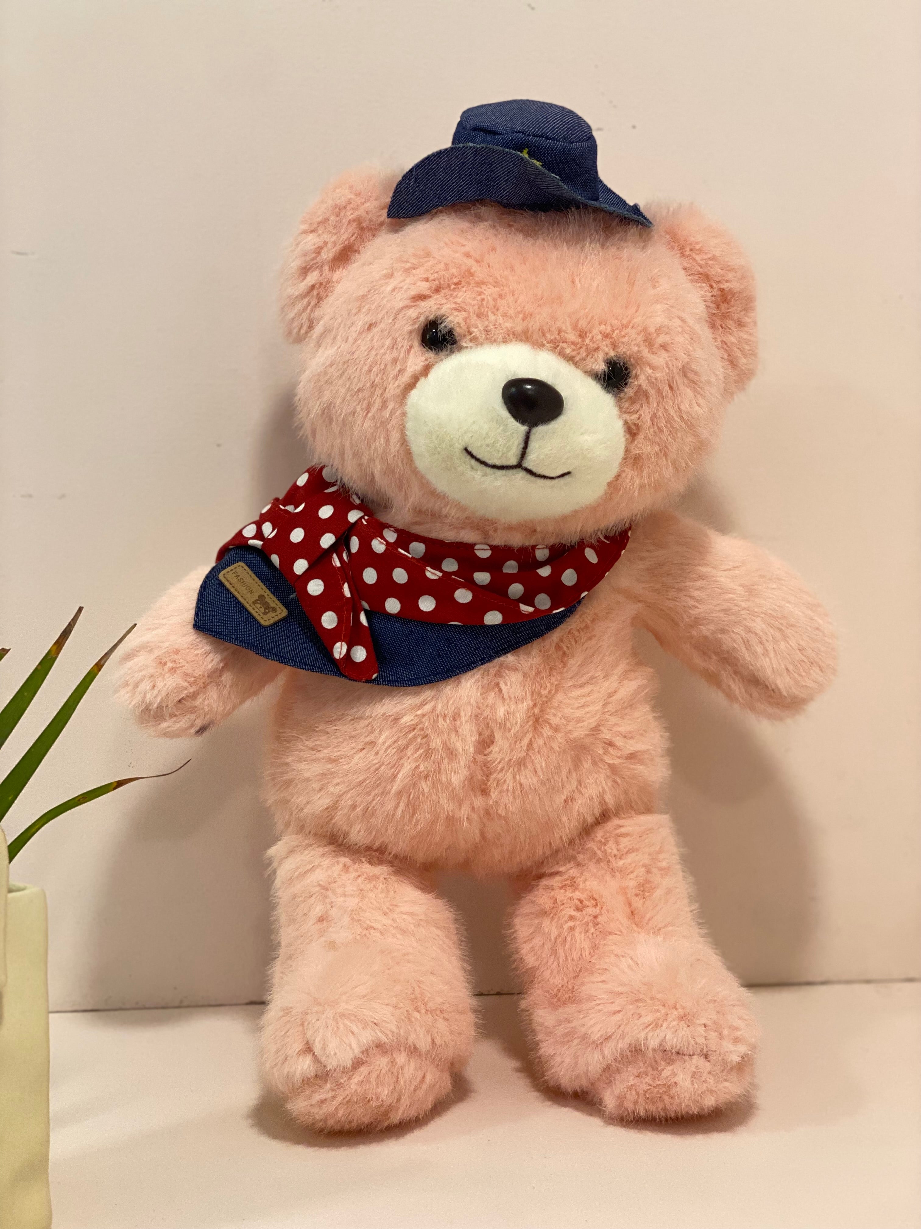 Cute Teddy Bear with Cap & Bow – Soft Plush Toy for Kids & Gifting