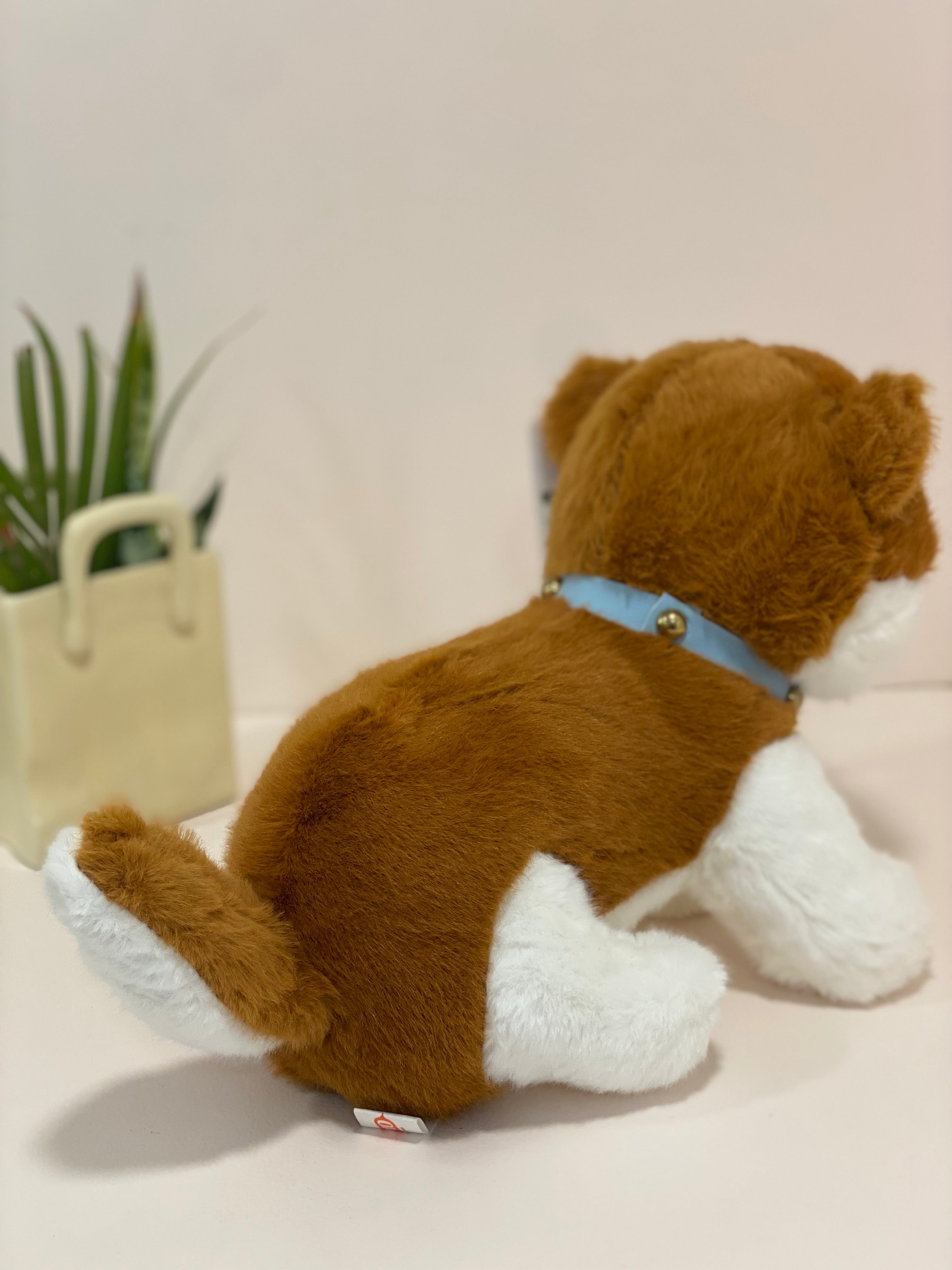 Cute Brown Husky Puppy Soft Toy with Bell Collar – Plush Dog Teddy for Kids & Gifting