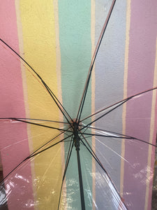 Transparent C Handle Umbrella