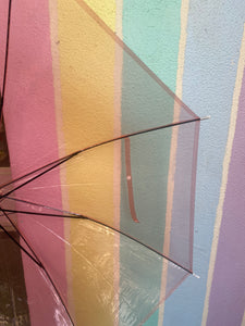 Transparent C Handle Umbrella