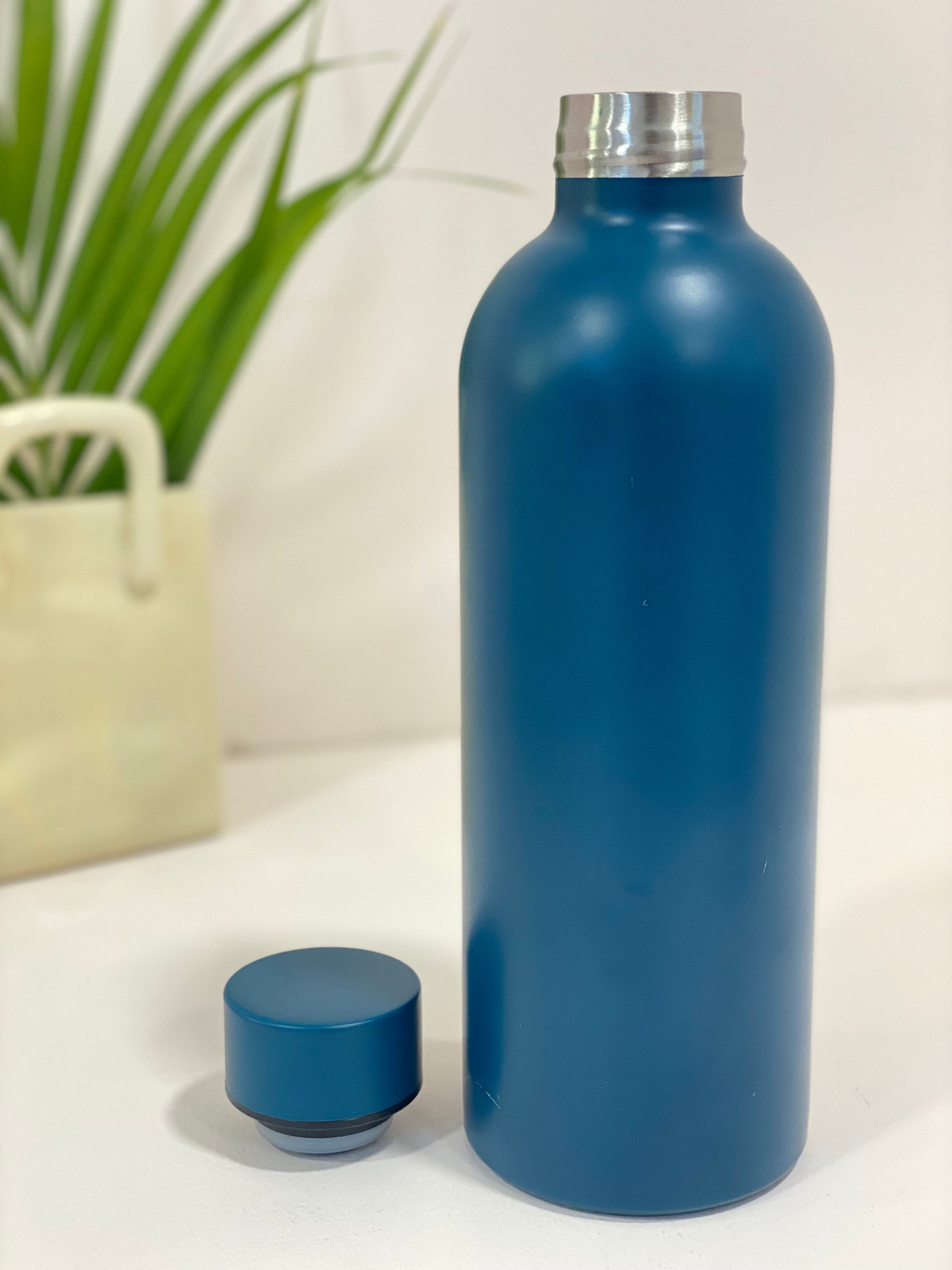 Beautiful Colours Stainless Steel Water Bottle –  | Leakproof & Insulated