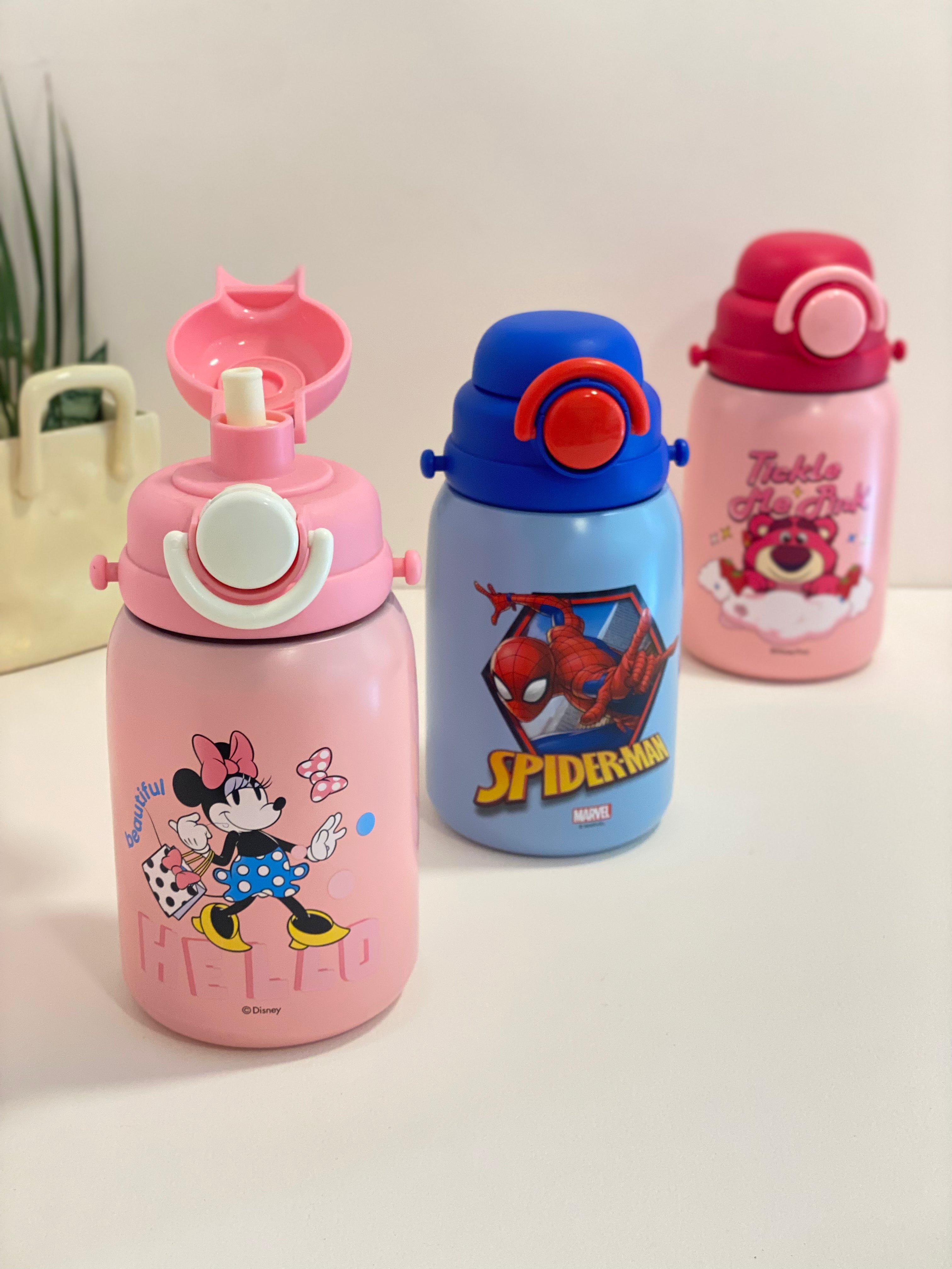 Matte Character Insulated Thermos Flask