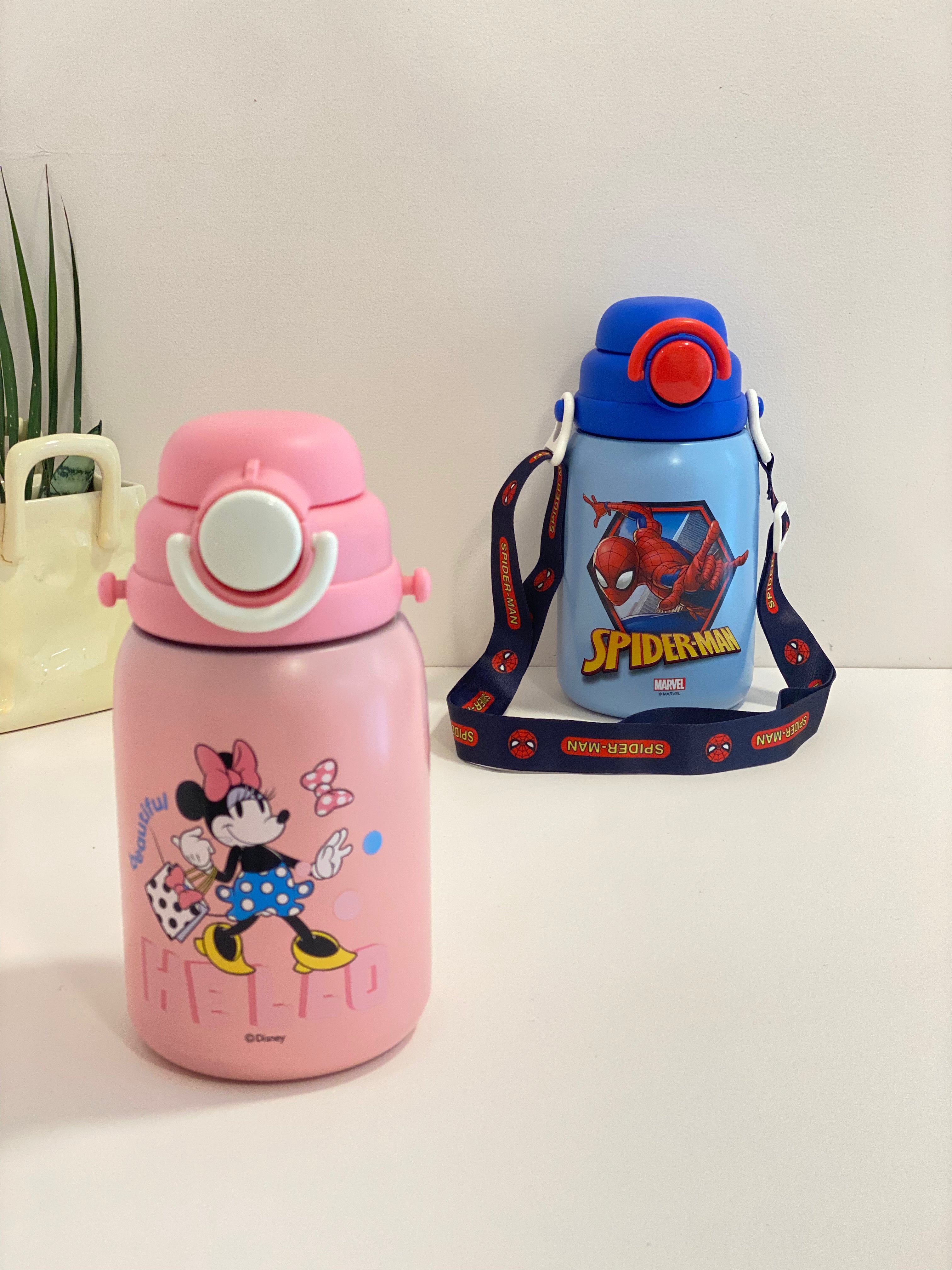 Matte Character Insulated Thermos Flask