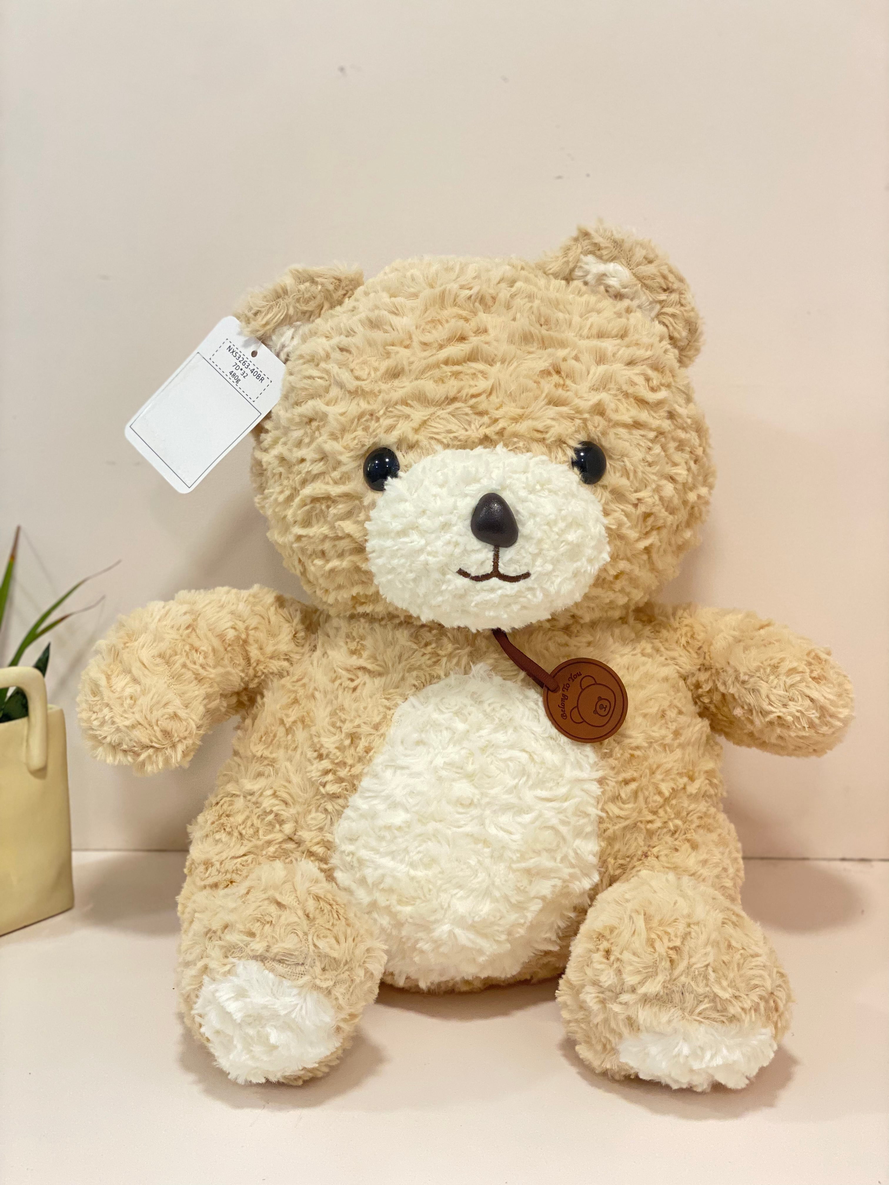 Textured Teddy Bear Cushion Blanket