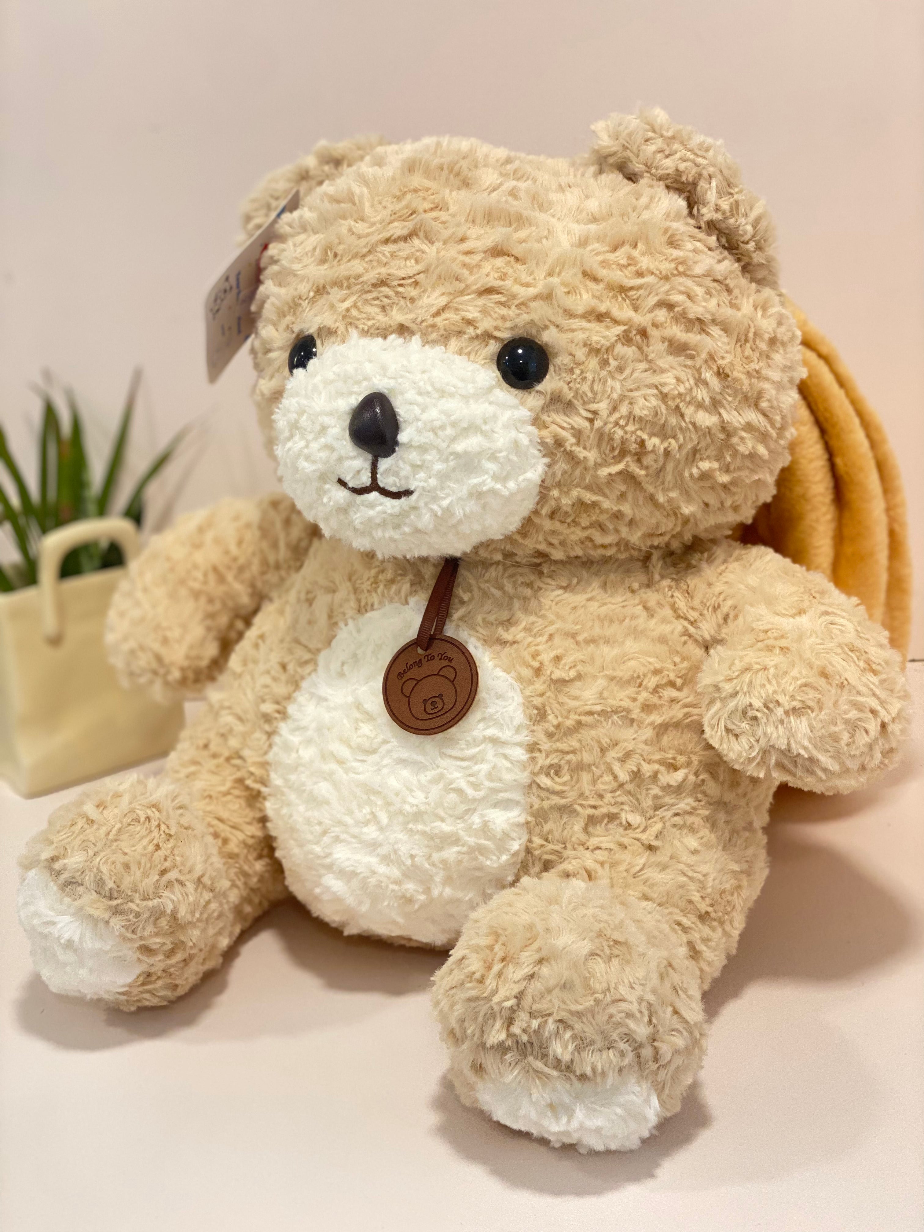 Textured Teddy Bear Cushion Blanket