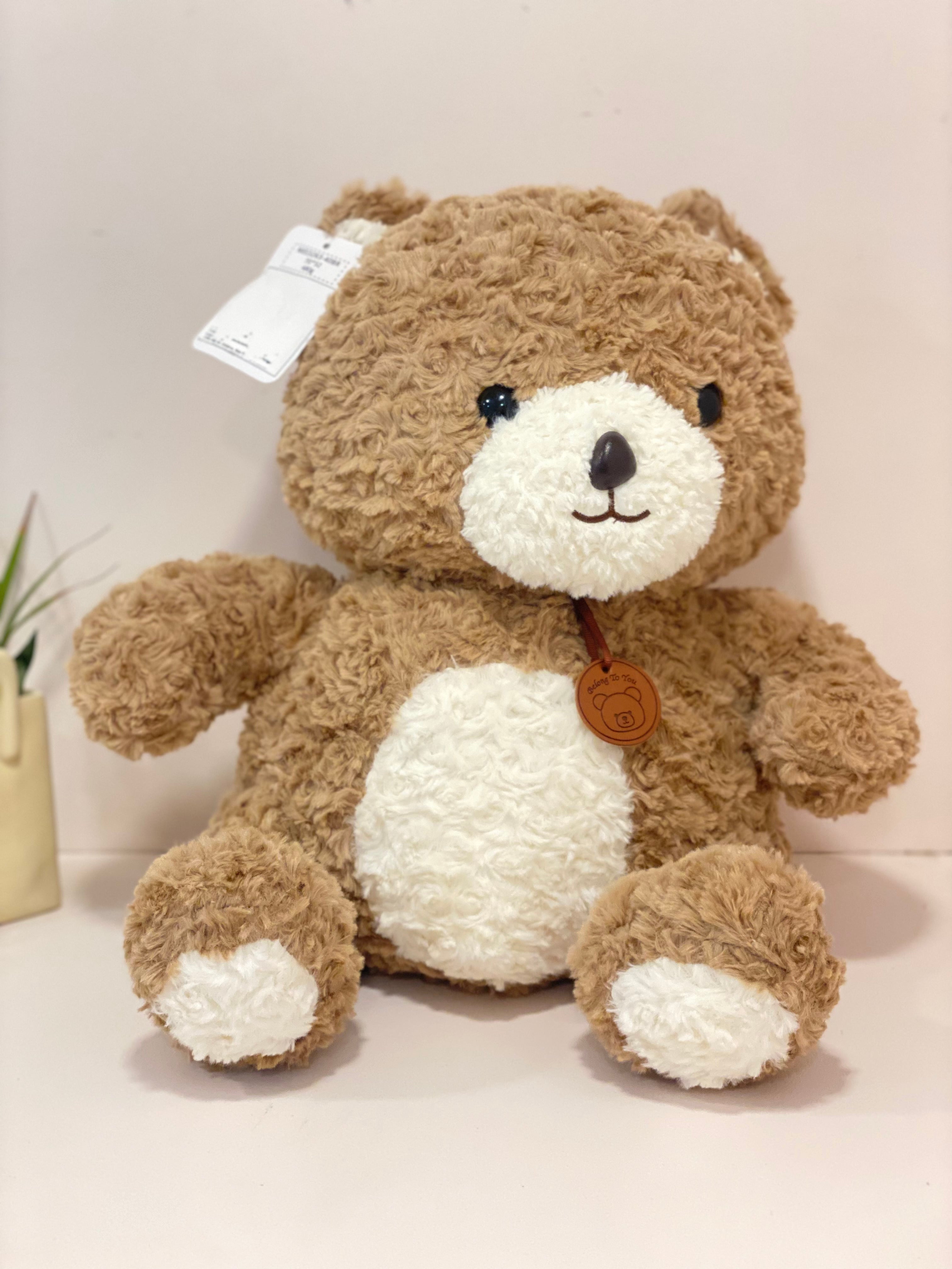 Textured Teddy Bear Cushion Blanket