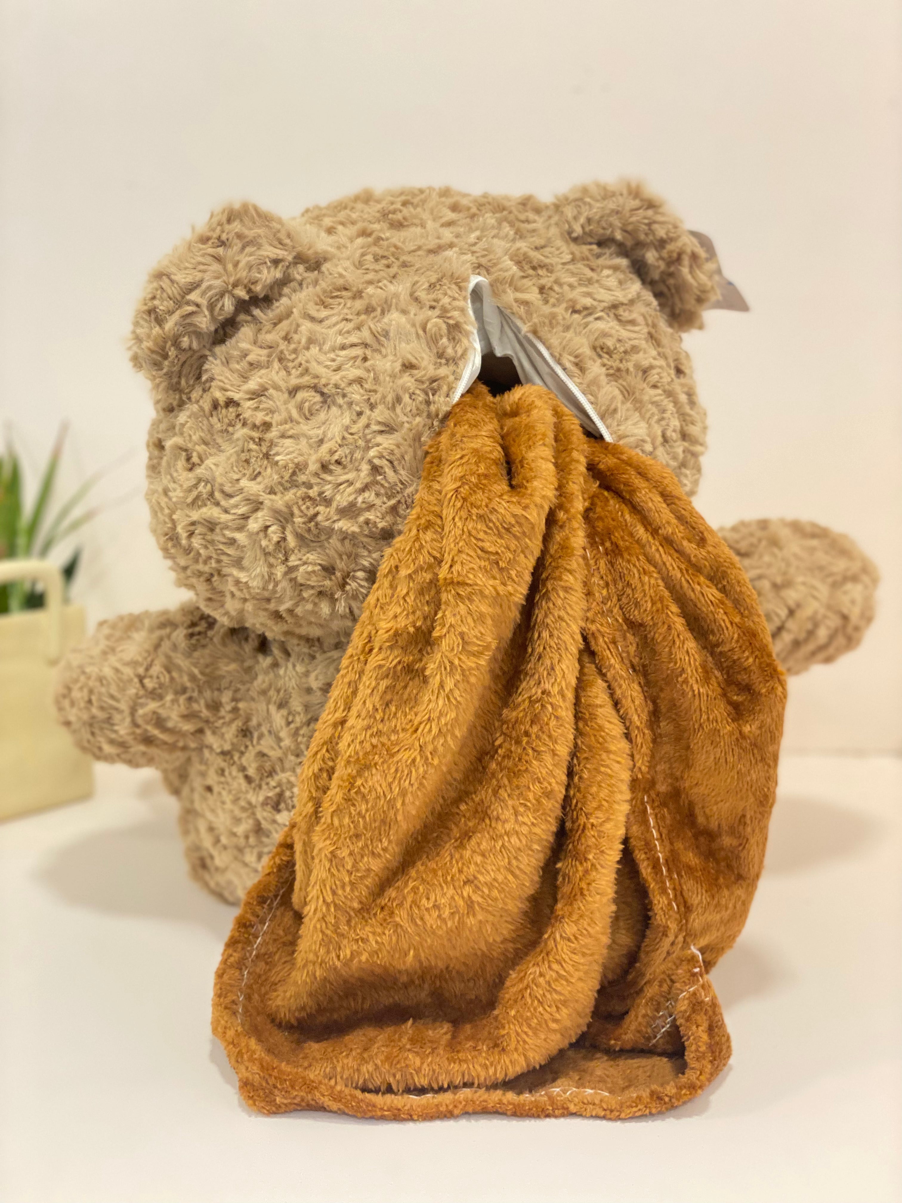 Textured Teddy Bear Cushion Blanket