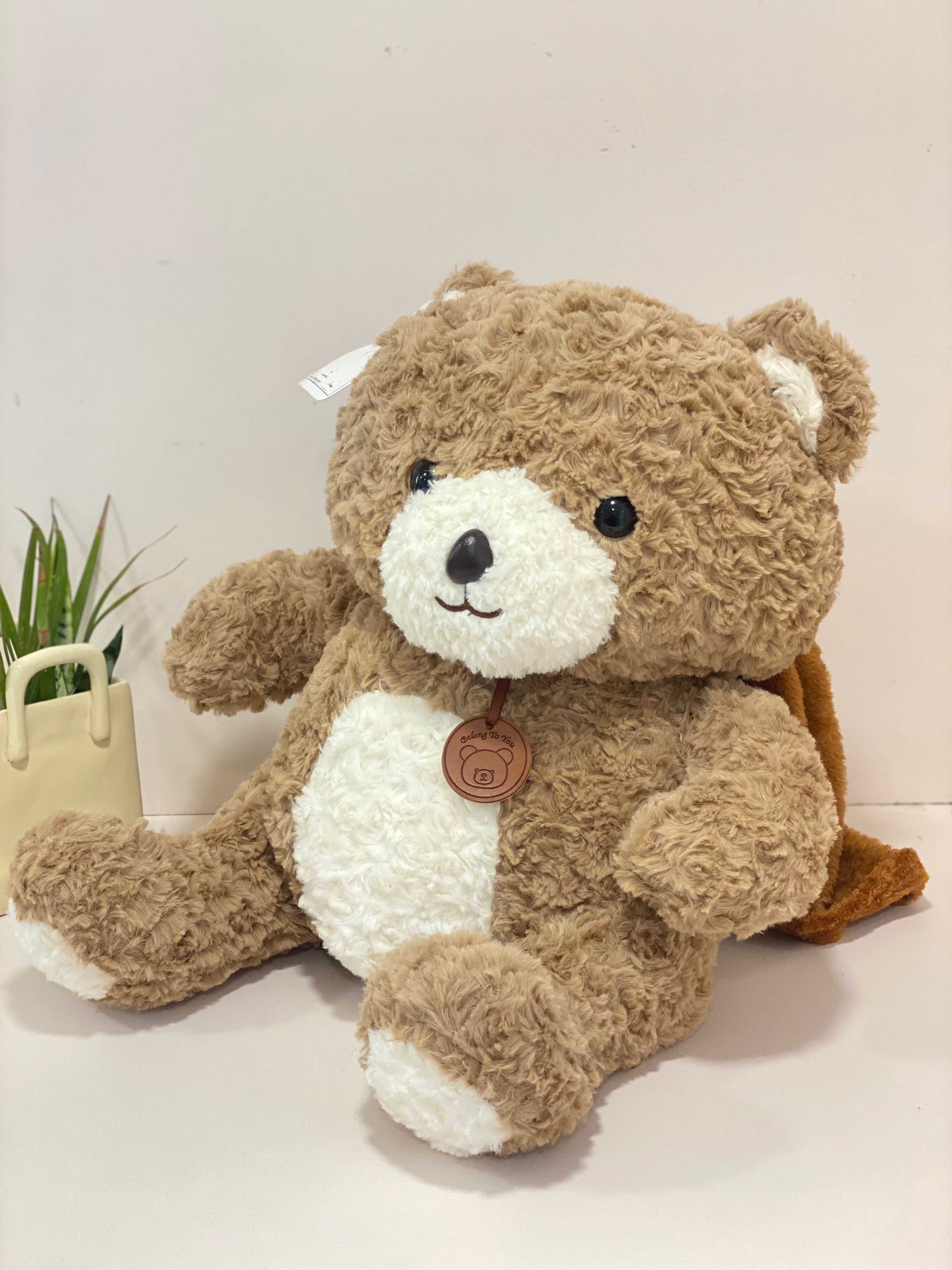 Textured Teddy Bear Cushion Blanket