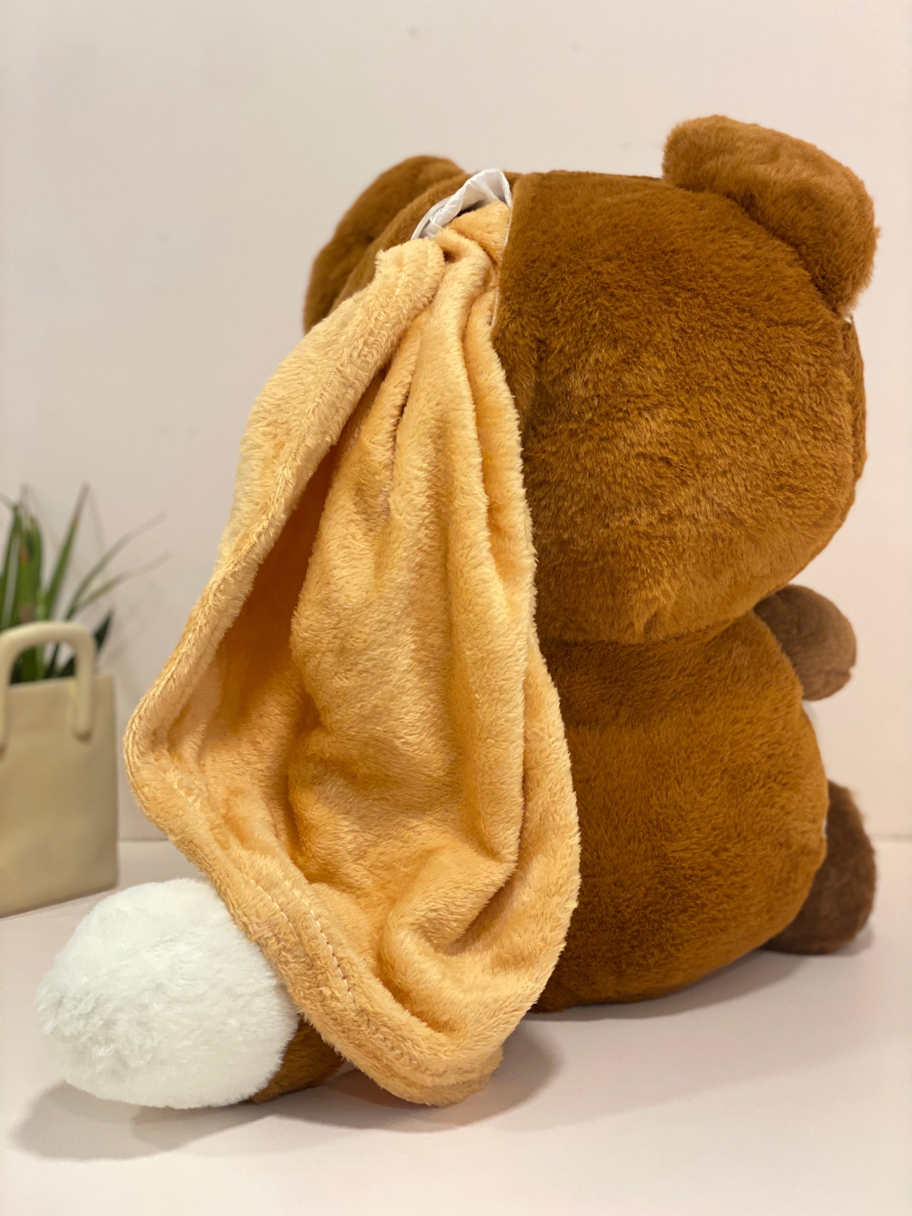 Plush Raccoon Convertible Cushion Blanket