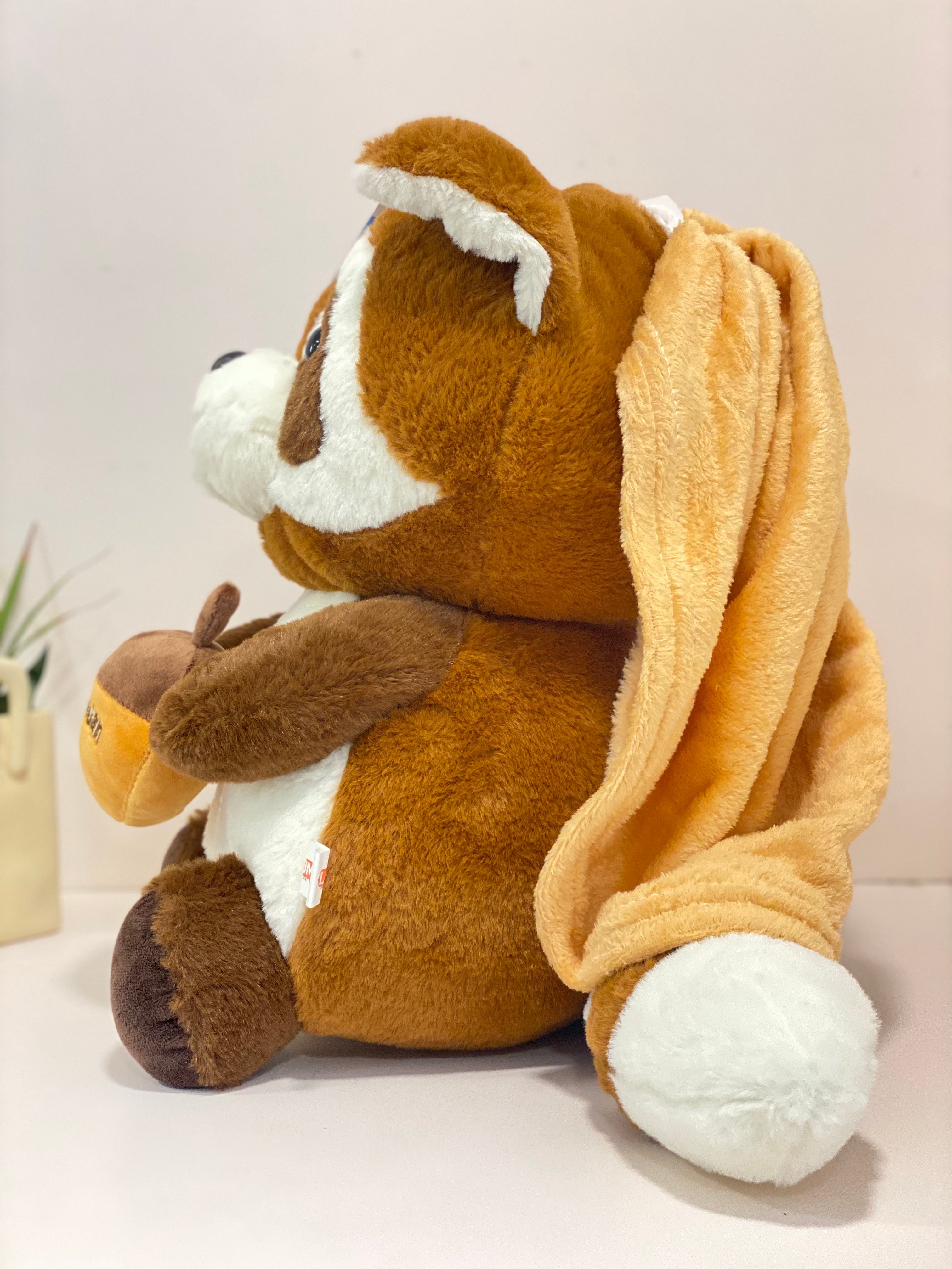 Plush Raccoon Convertible Cushion Blanket