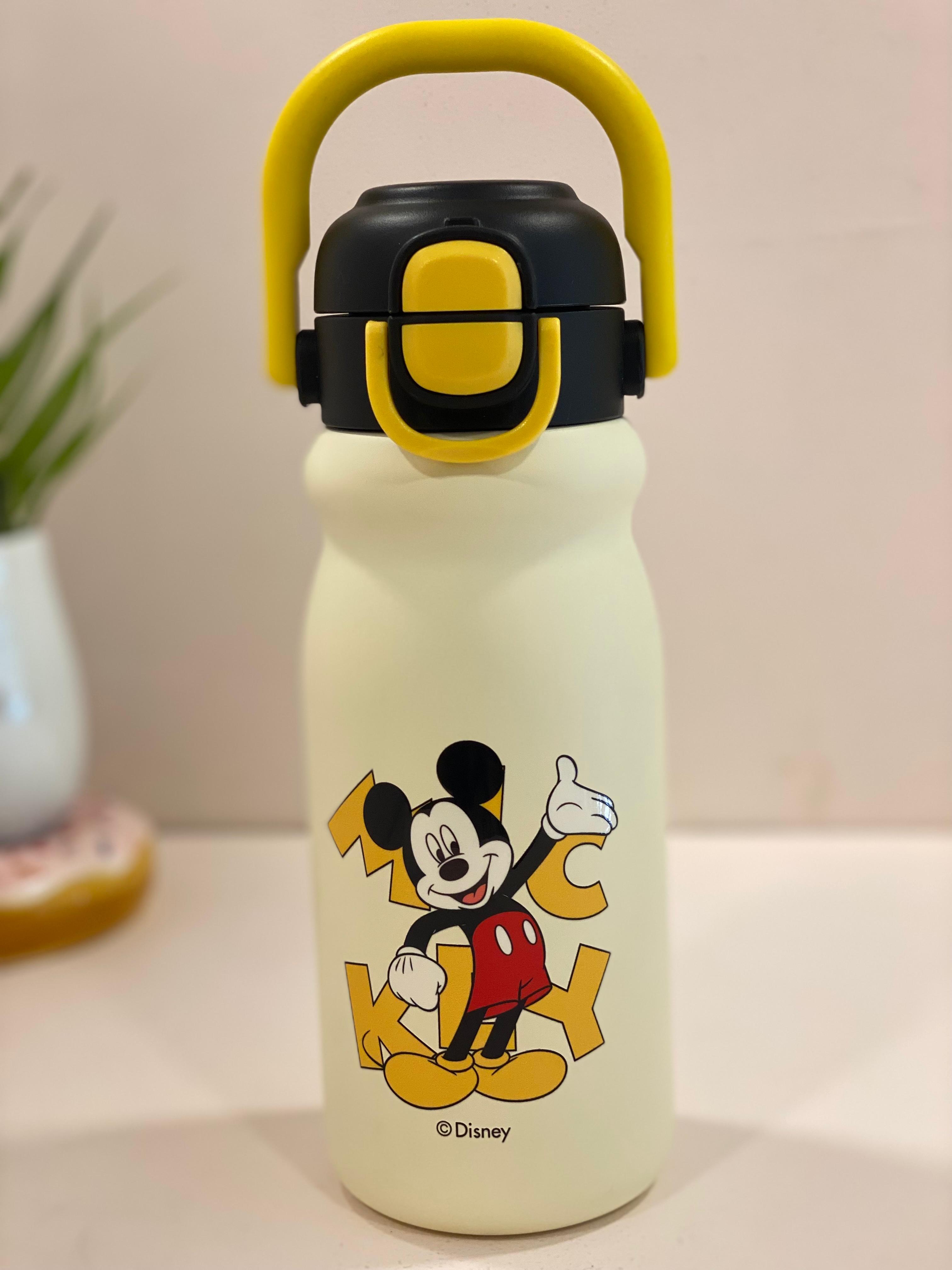 Disney Character Stainless Steel Kids Water Bottle with Flip-Top Straw Lid | Leak-Proof, Insulated