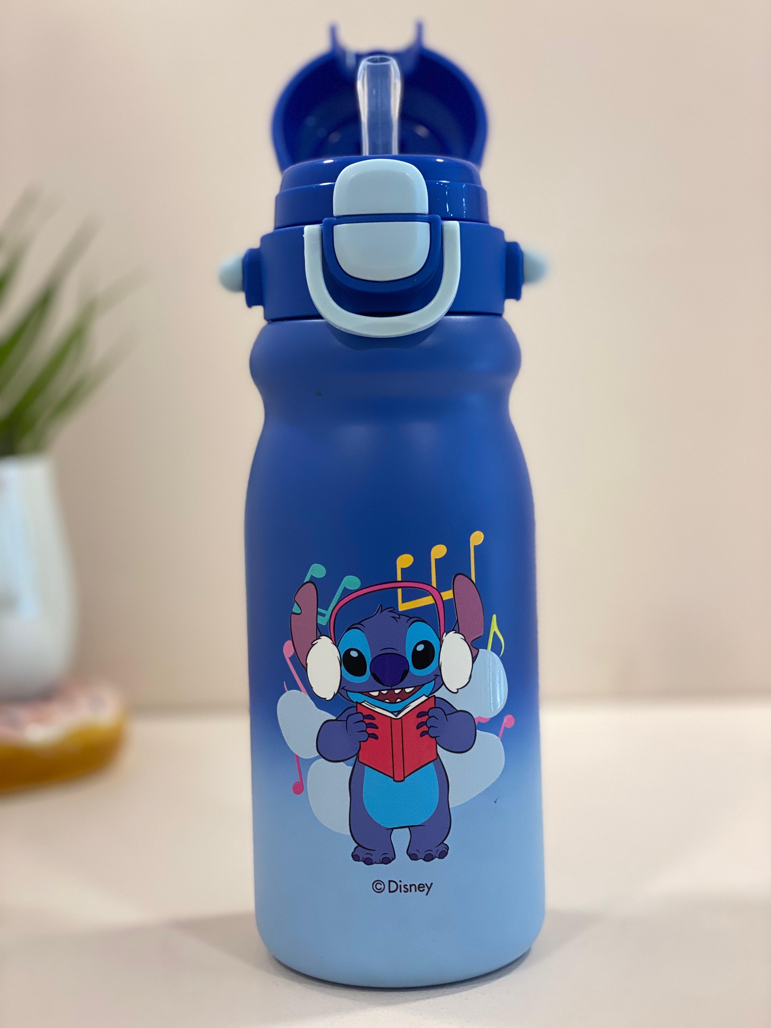 Disney Character Stainless Steel Kids Water Bottle with Flip-Top Straw Lid | Leak-Proof, Insulated