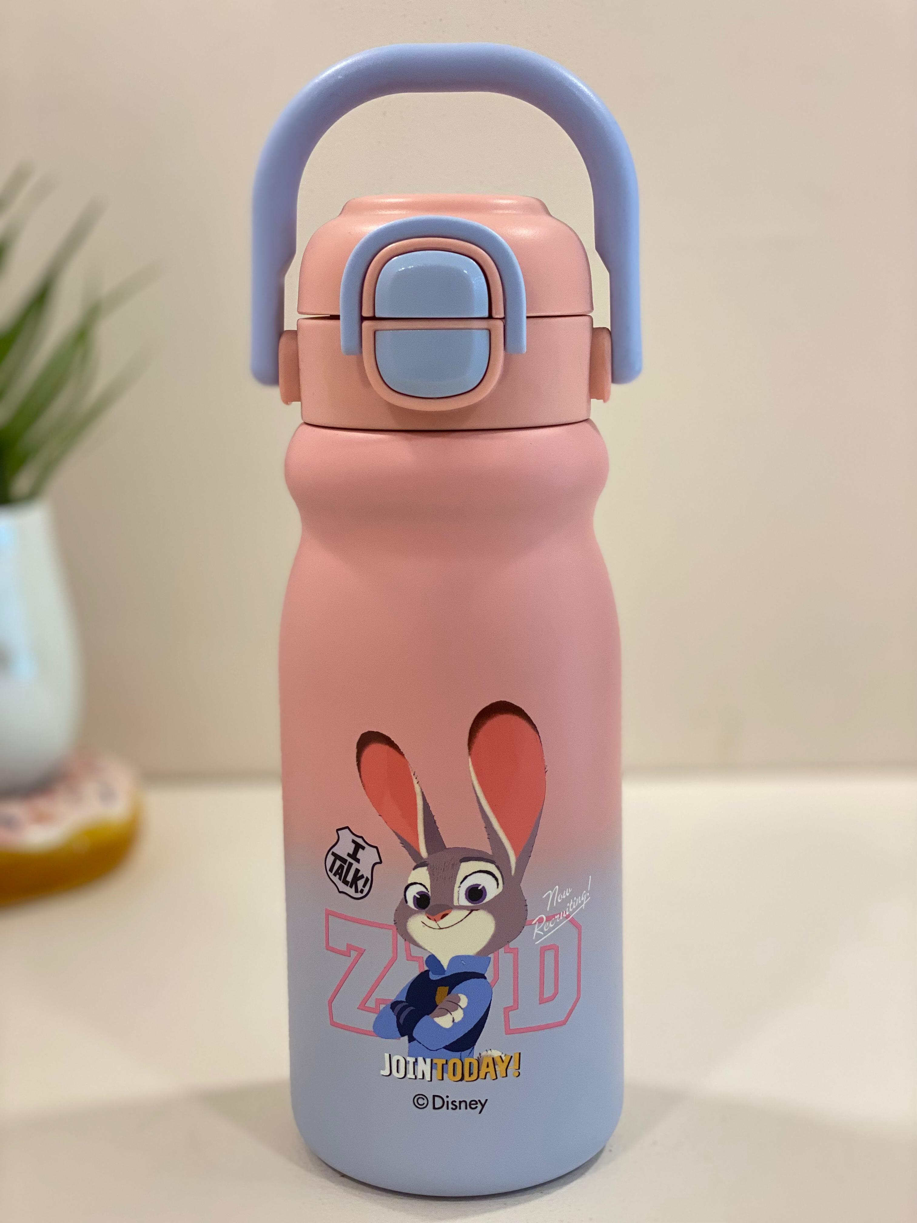 Disney Character Stainless Steel Kids Water Bottle with Flip-Top Straw Lid | Leak-Proof, Insulated