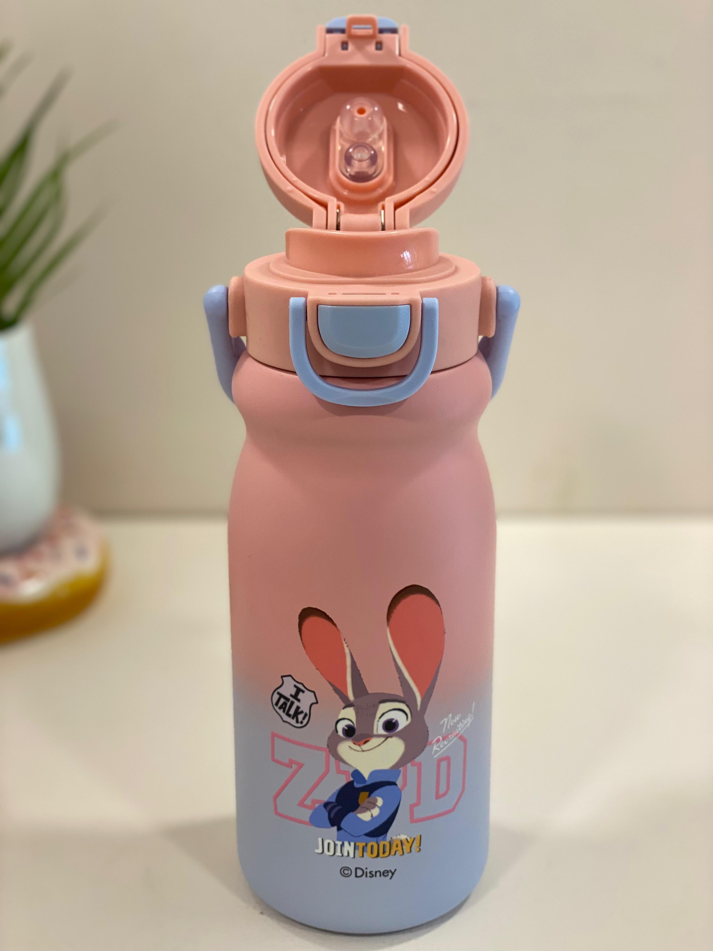 Disney Character Stainless Steel Kids Water Bottle with Flip-Top Straw Lid | Leak-Proof, Insulated
