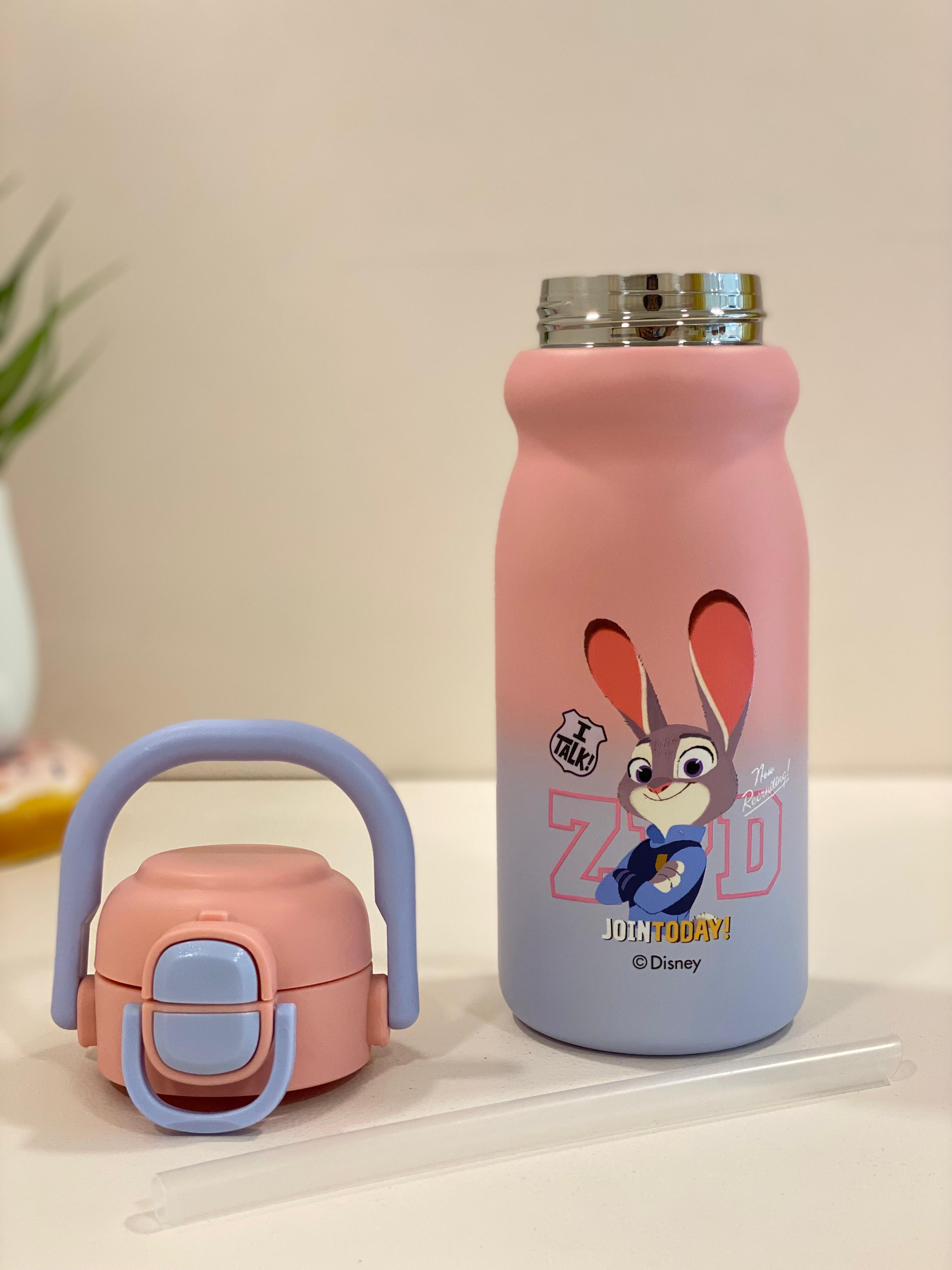 Disney Character Stainless Steel Kids Water Bottle with Flip-Top Straw Lid | Leak-Proof, Insulated