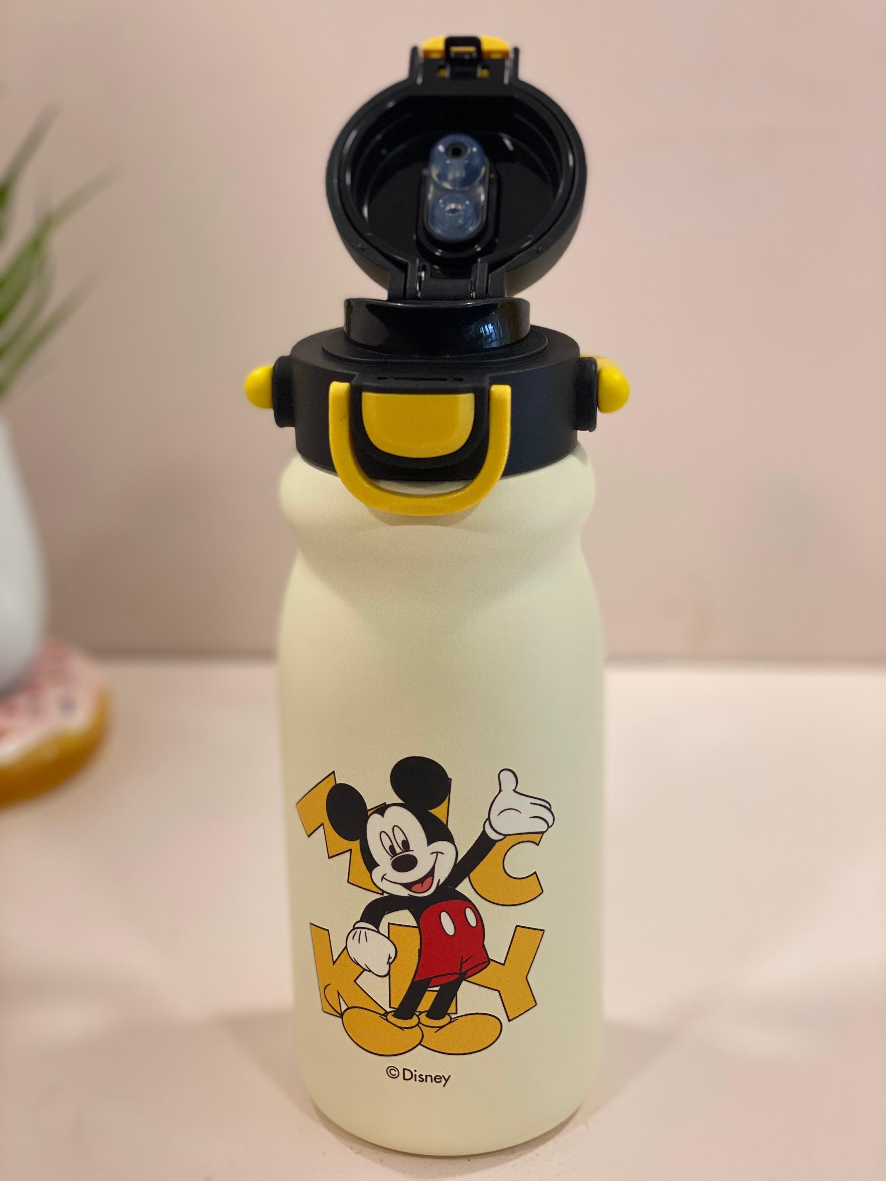 Disney Character Stainless Steel Kids Water Bottle with Flip-Top Straw Lid | Leak-Proof, Insulated