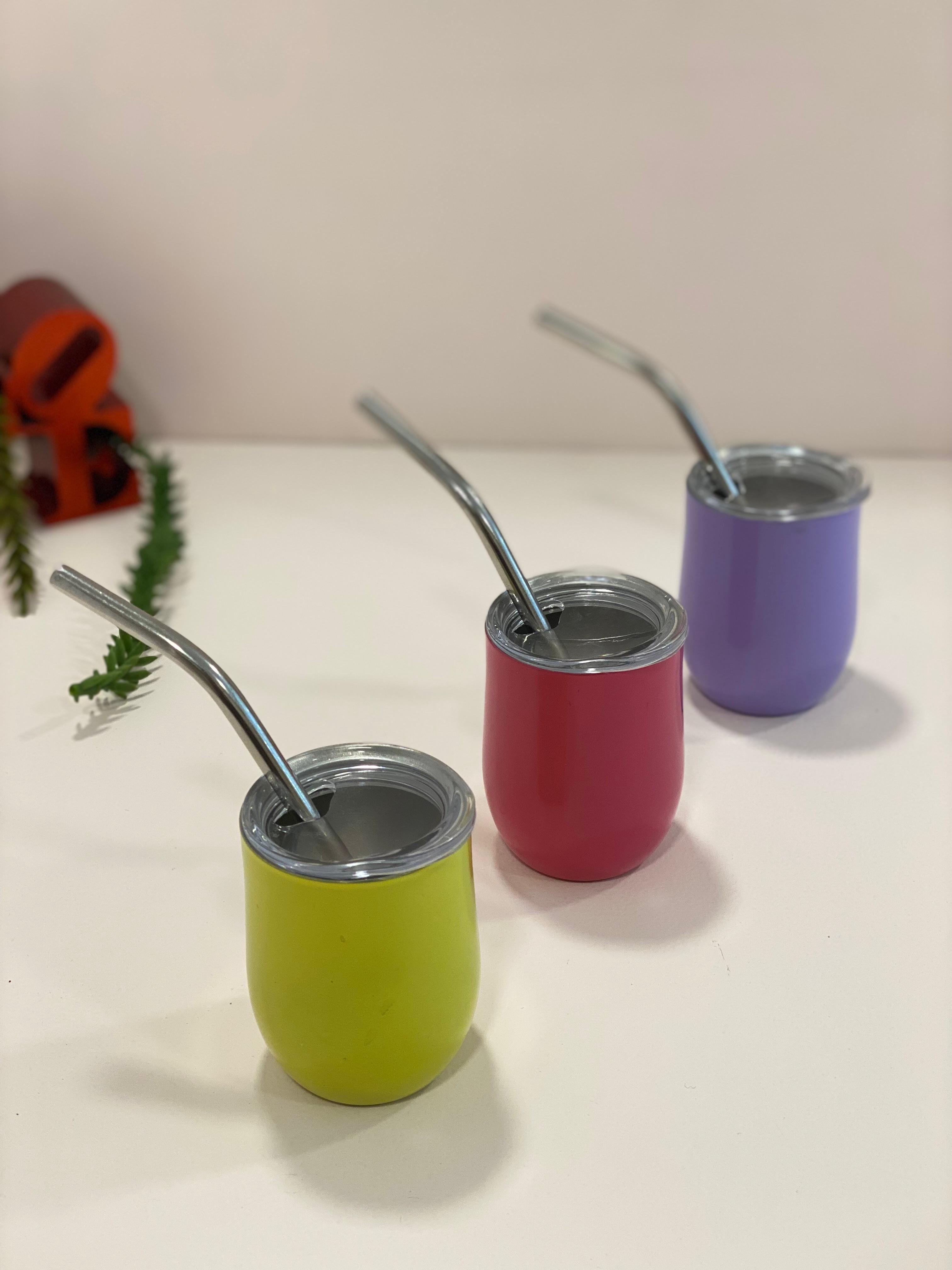 Mini Stainless Steel Insulated Tumbler Cup with Lid & Metal Straw – Cute Travel Coffee Mug