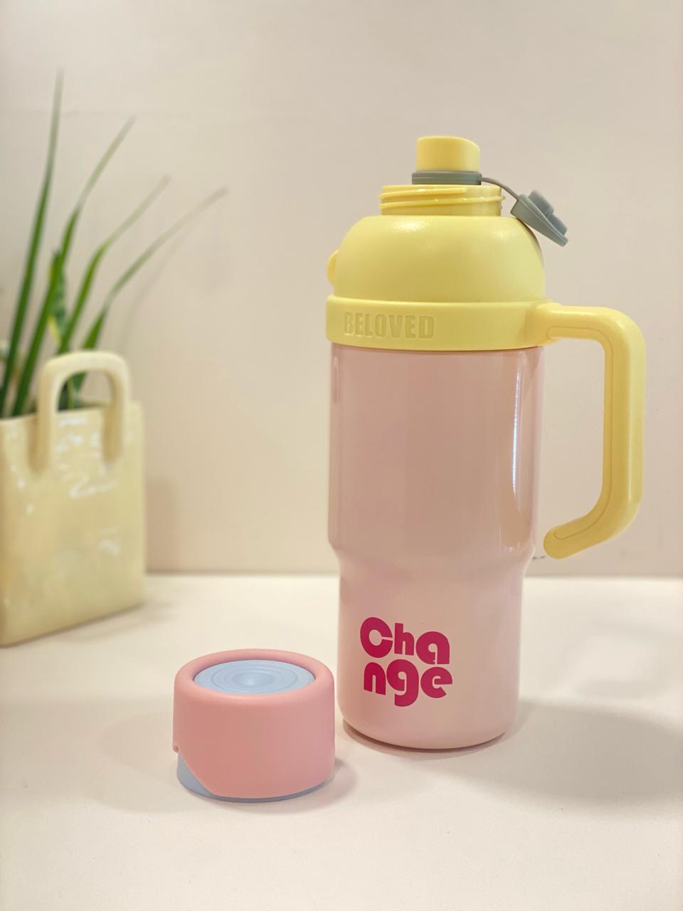 Pastel Matte Insulated Tumbler Flask