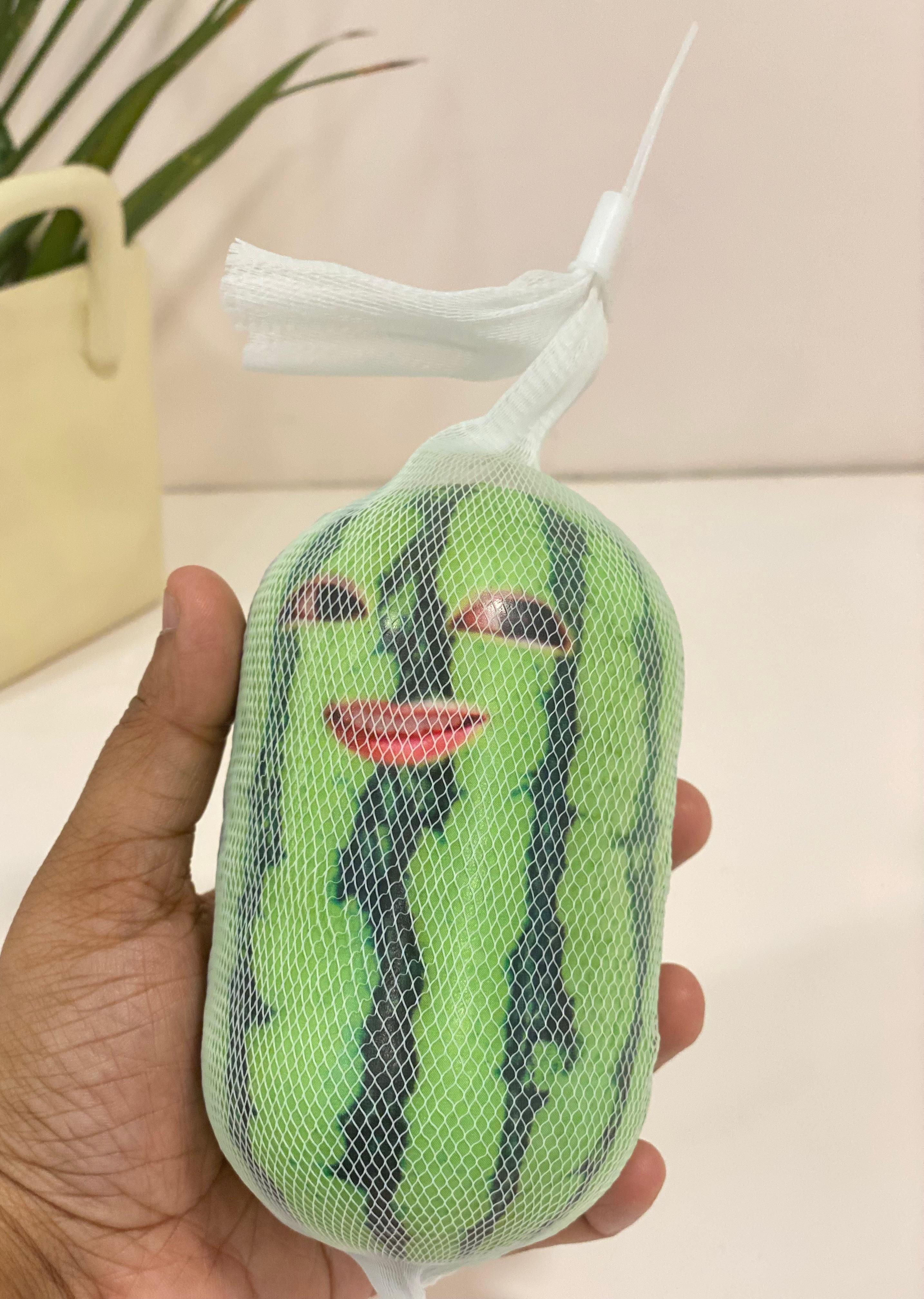 Memetic Watermelon Expression Squishy Toy
