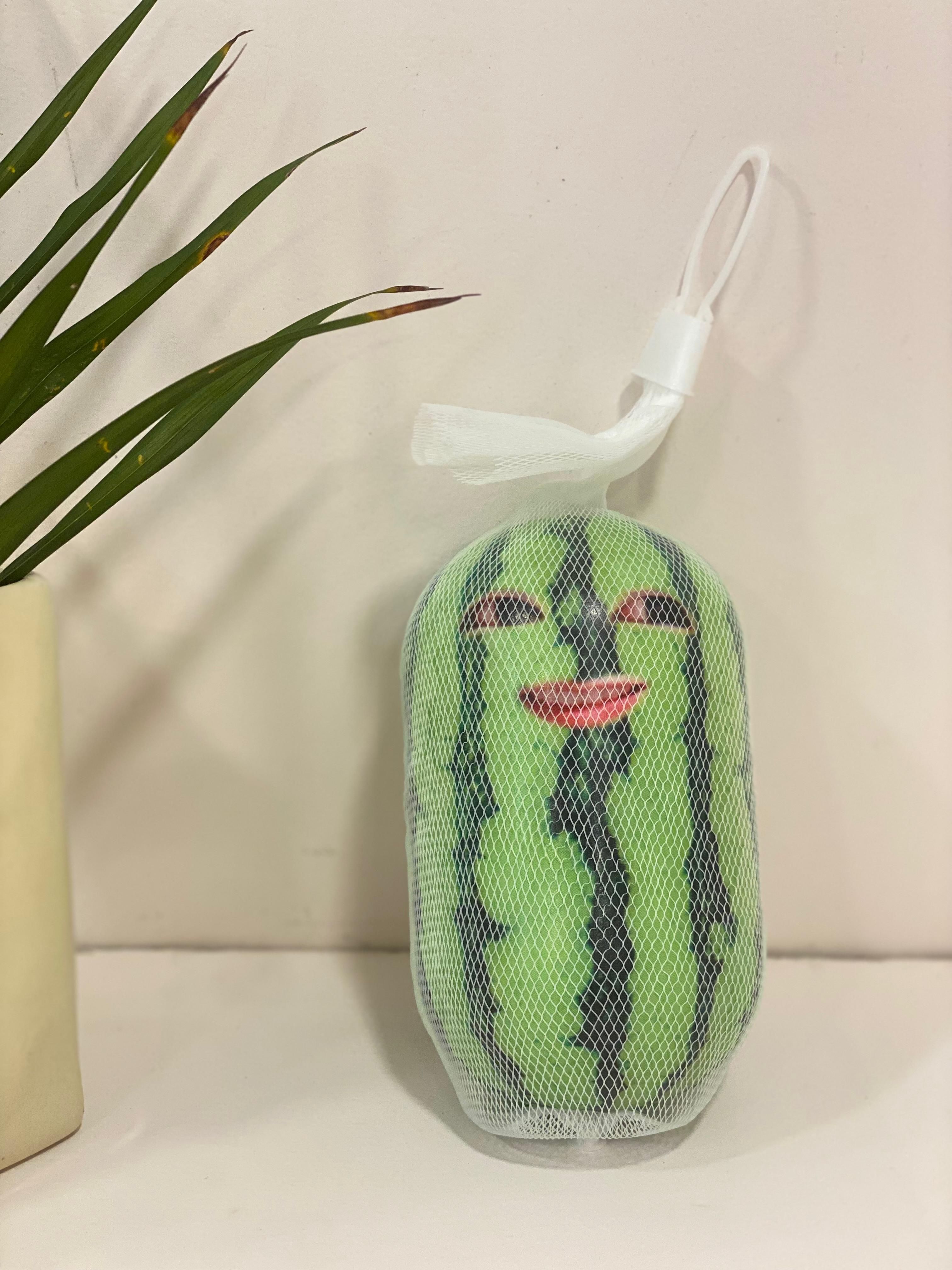 Memetic Watermelon Expression Squishy Toy