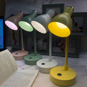 Modern Subtle Desk Lamp- Clearance Sale